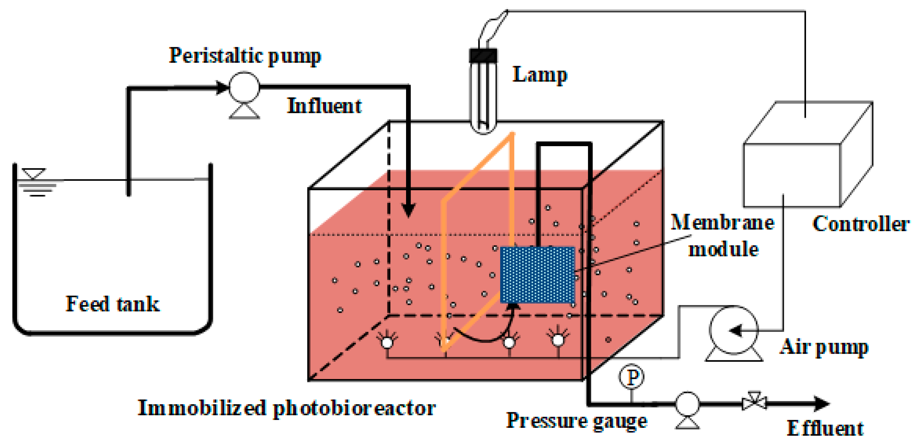 Membranes 11 00226 g001