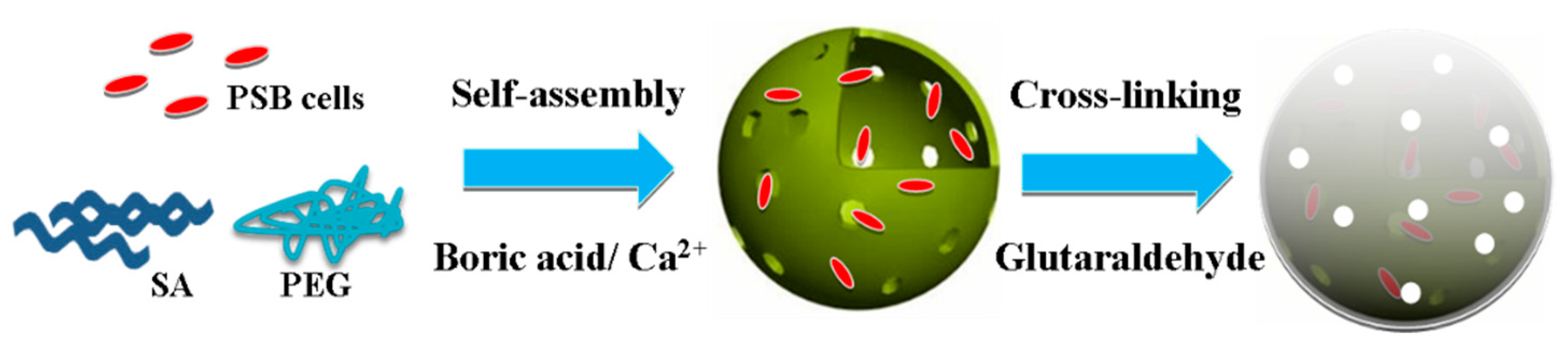 Membranes 11 00226 g003