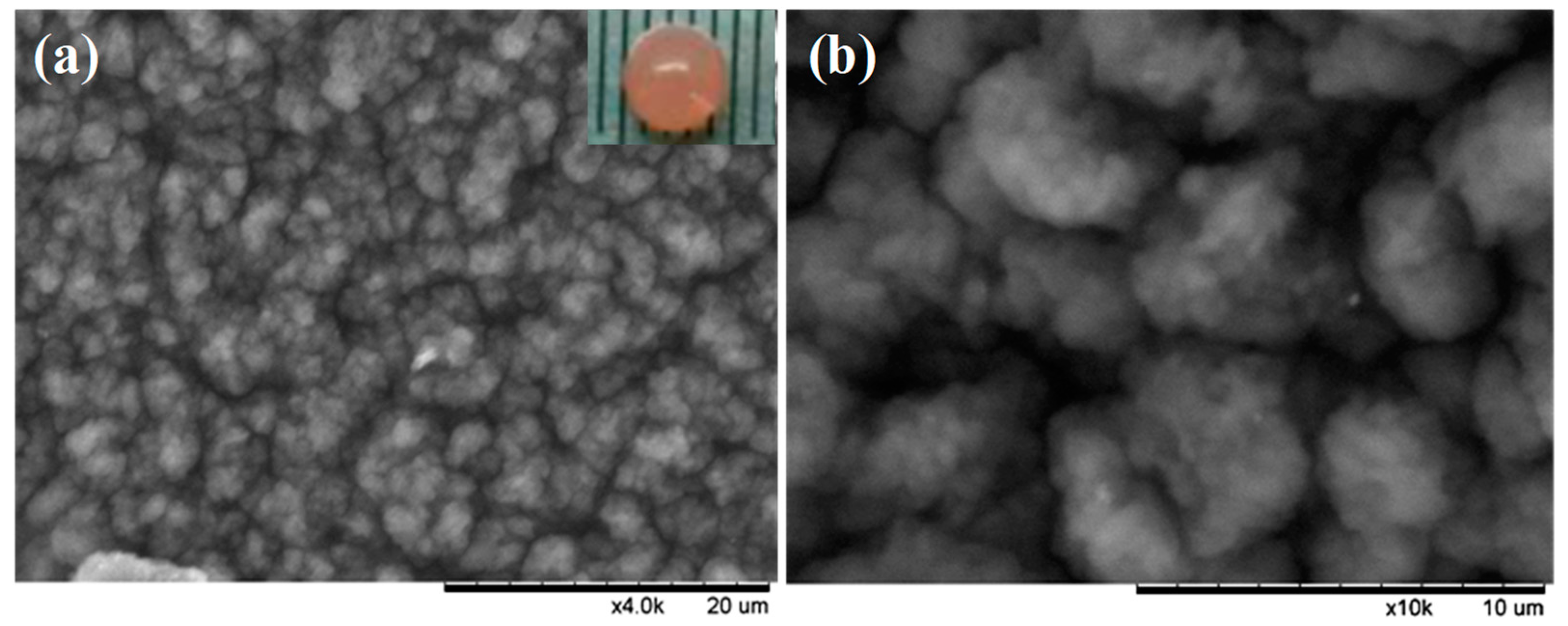 Membranes 11 00226 g004