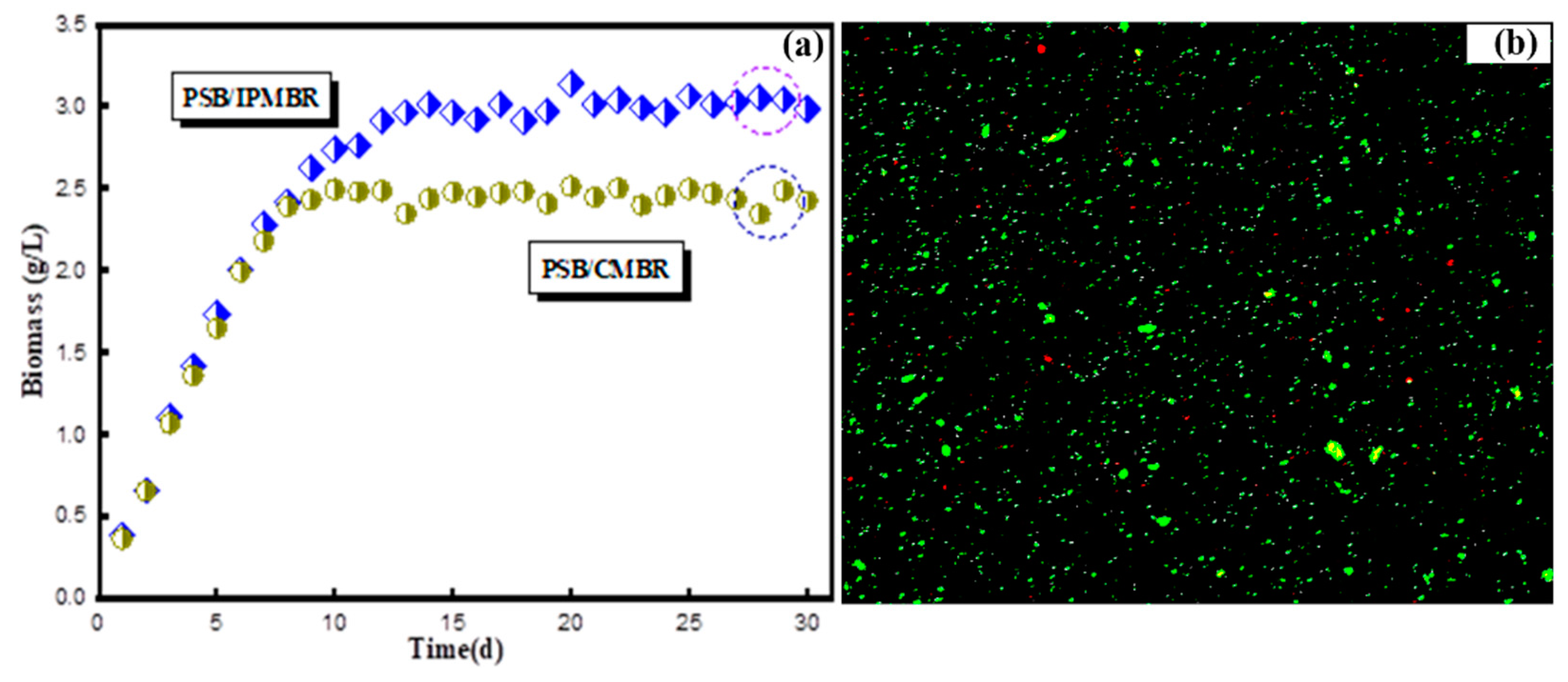 Membranes 11 00226 g005