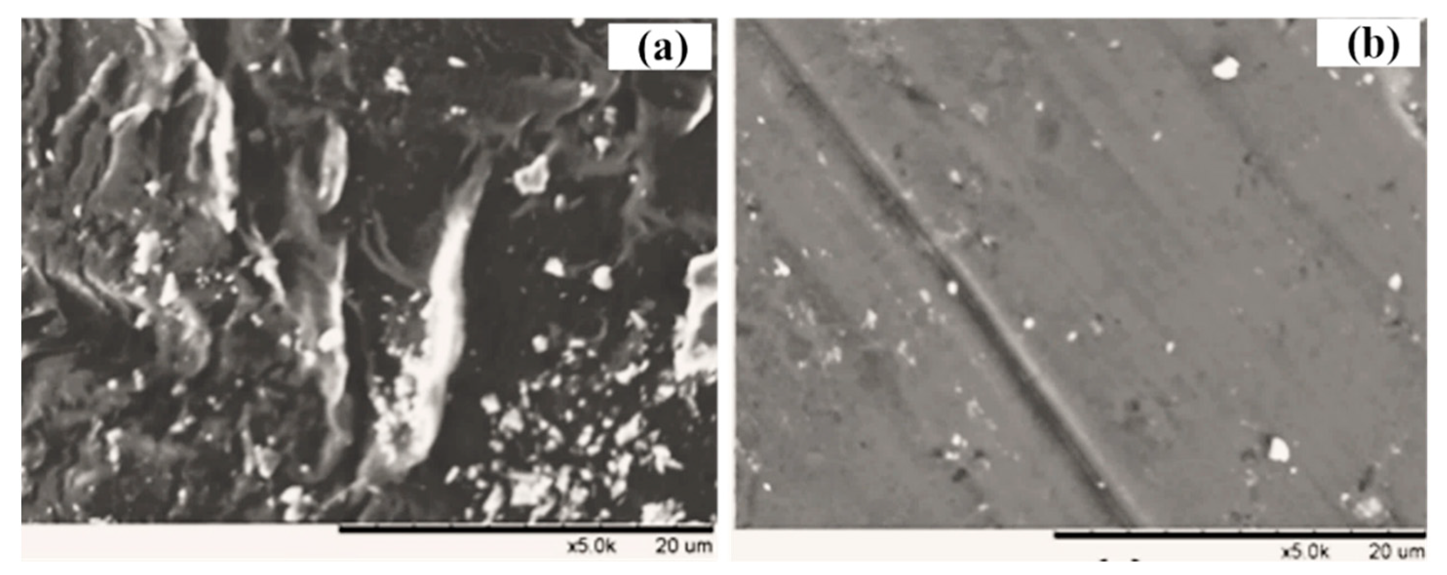 Membranes 11 00226 g008