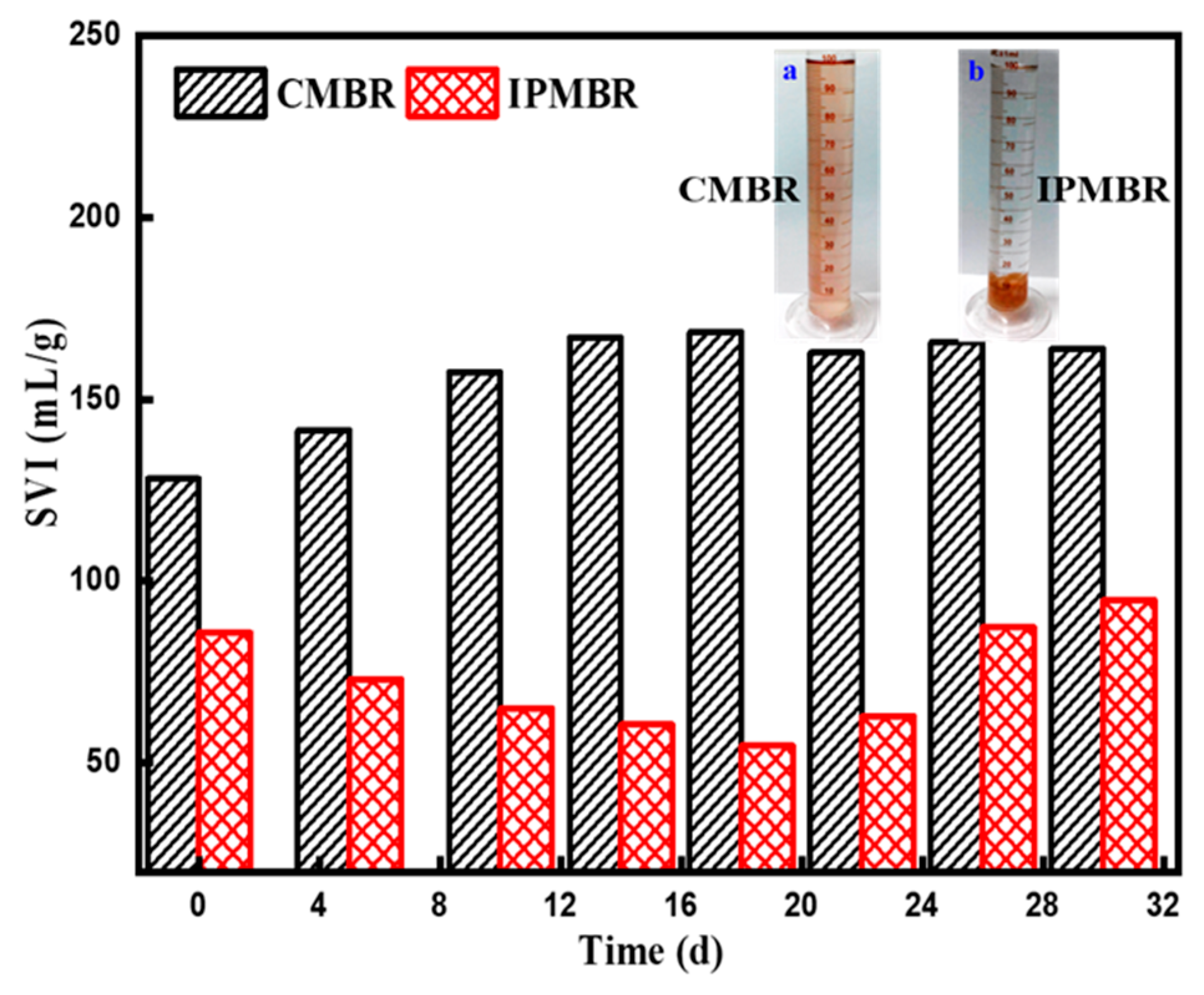 Membranes 11 00226 g010