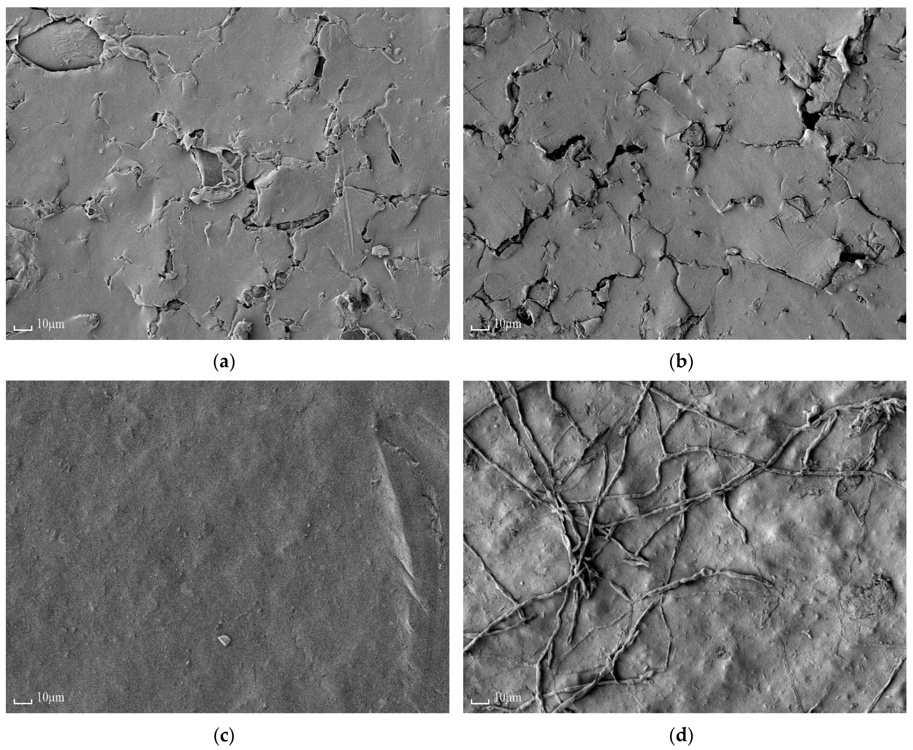 Membranes 11 00227 g008
