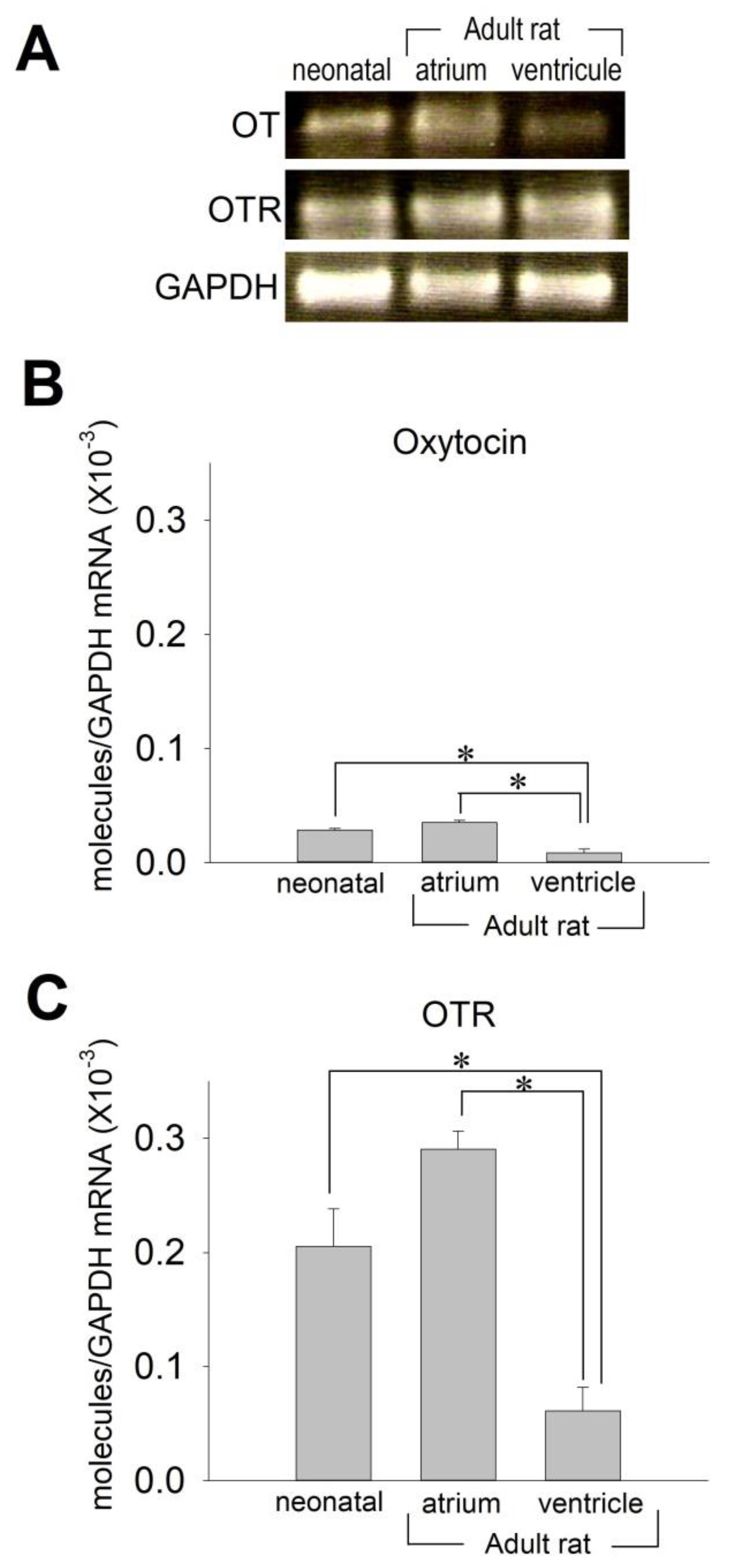 Membranes 11 00234 g001