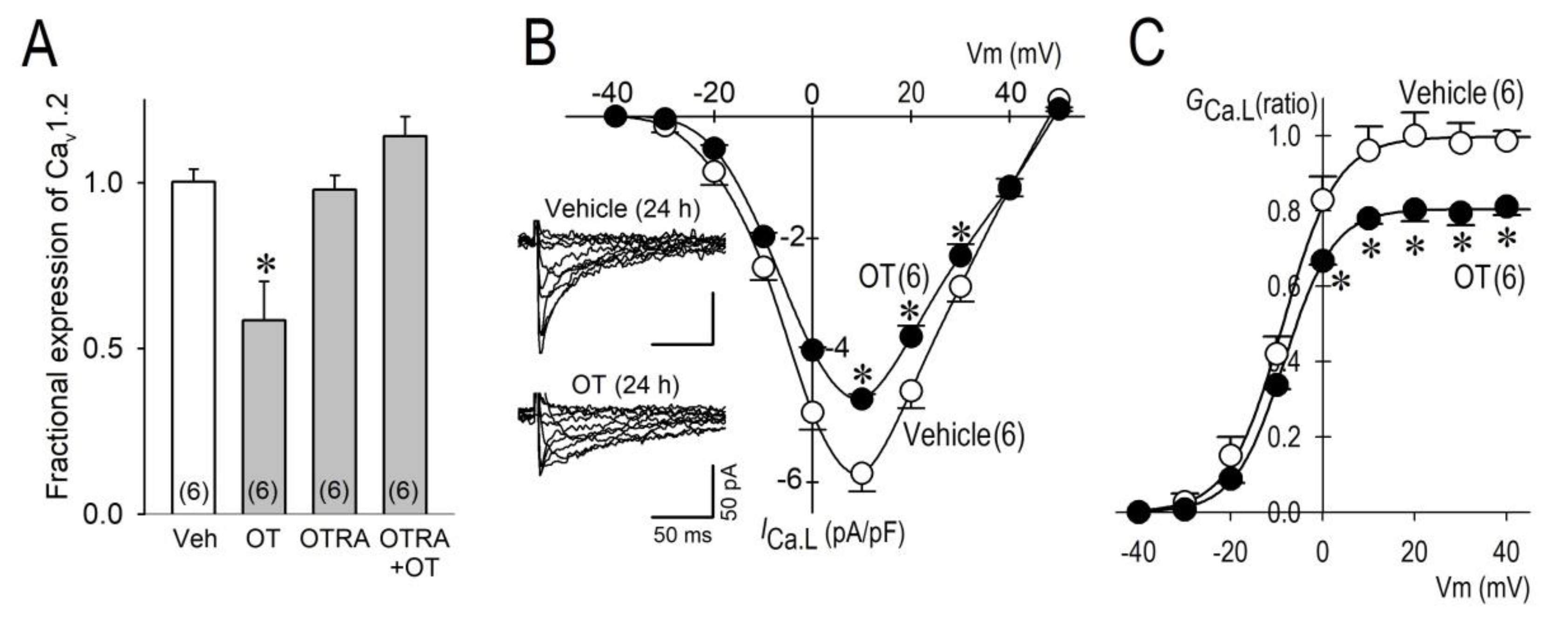 Membranes 11 00234 g002