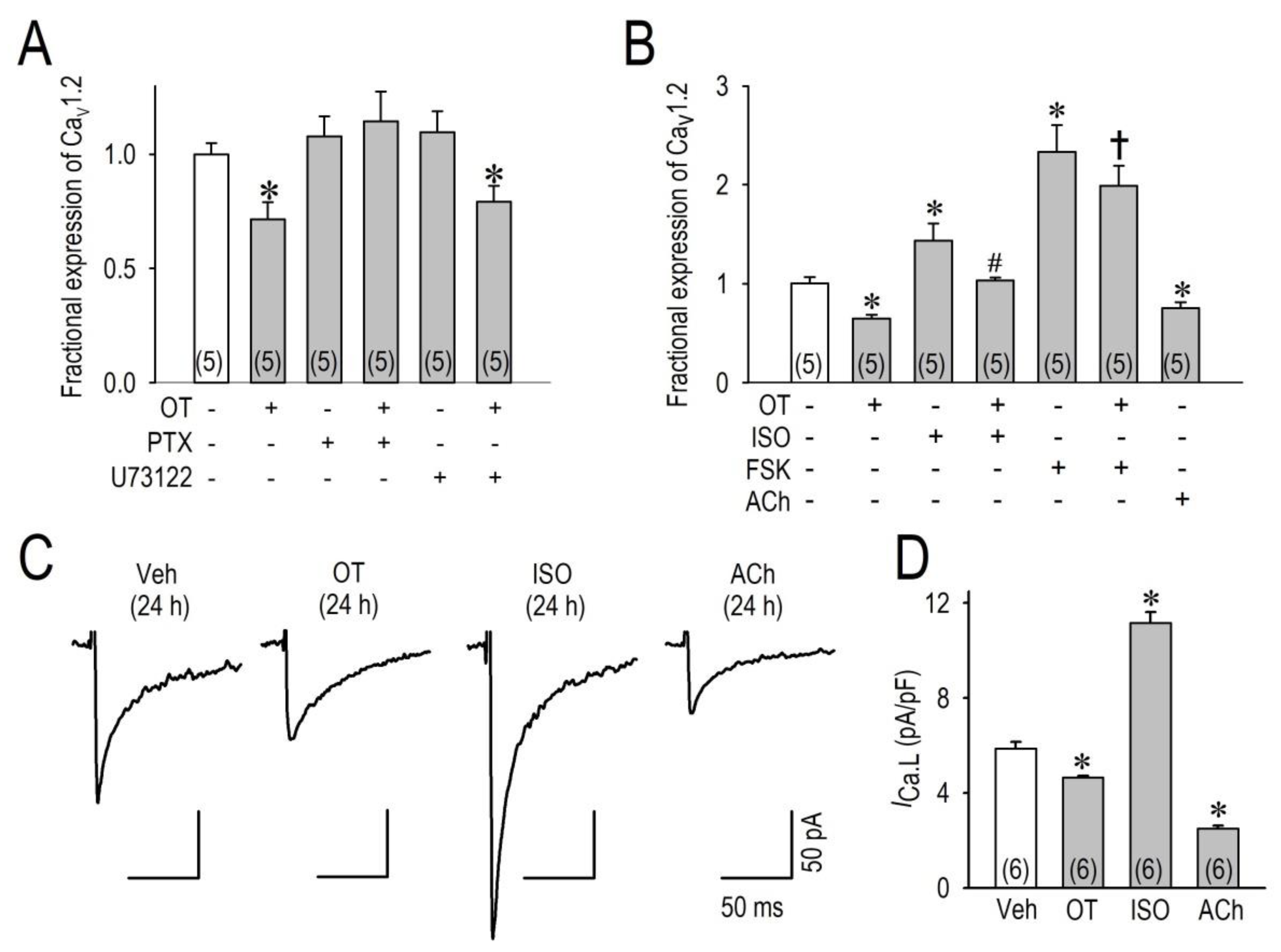 Membranes 11 00234 g003