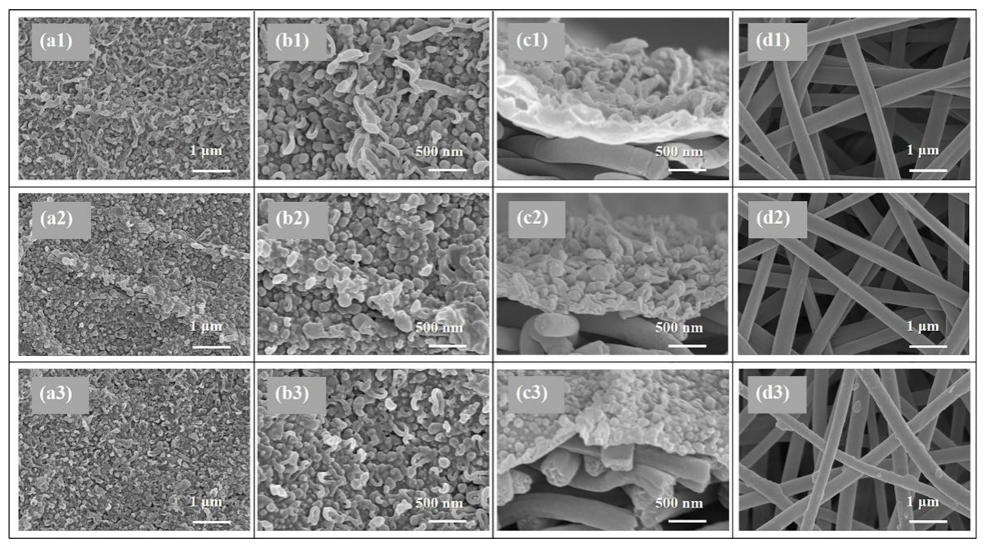 Membranes 11 00237 g002
