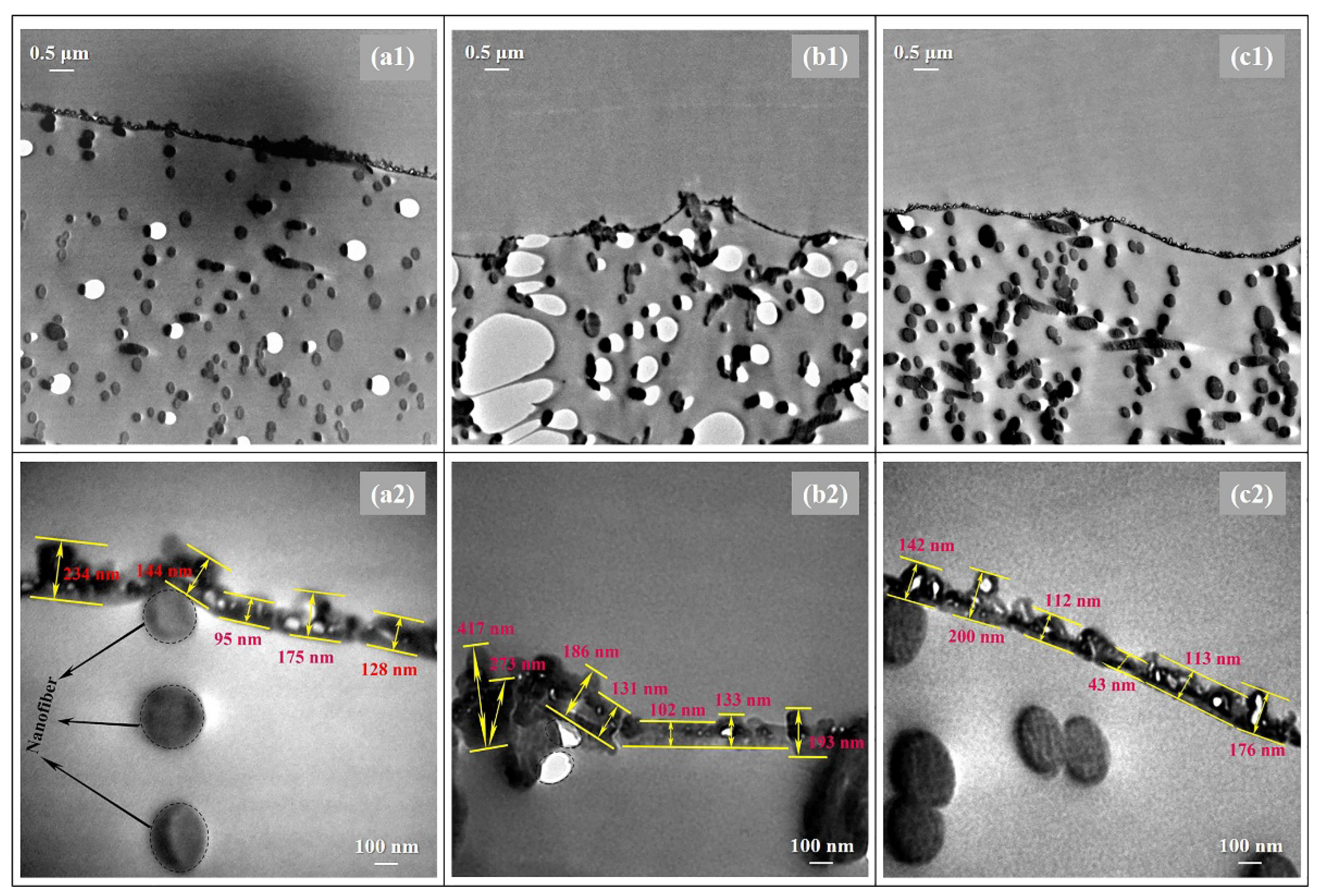 Membranes 11 00237 g004