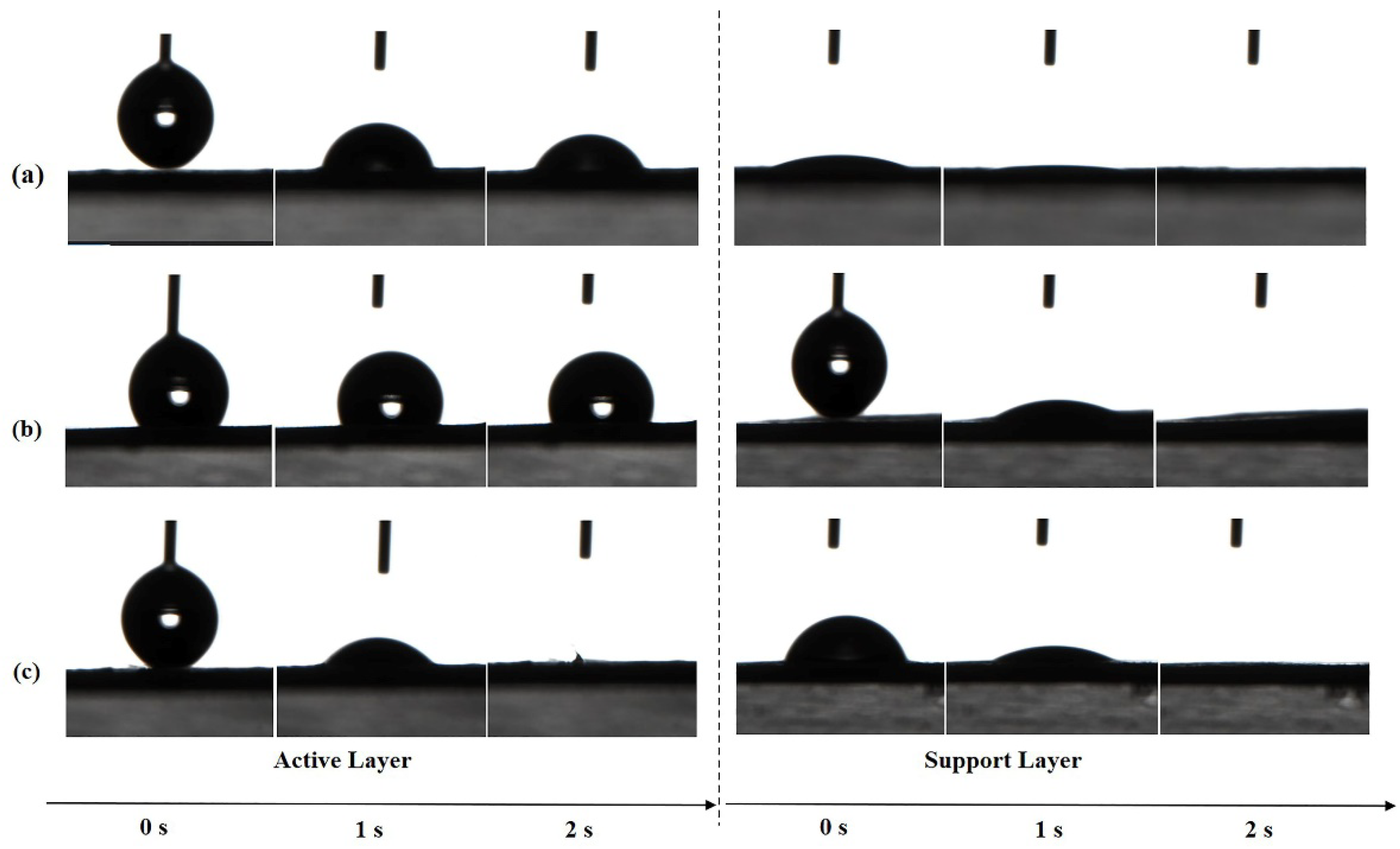 Membranes 11 00237 g008