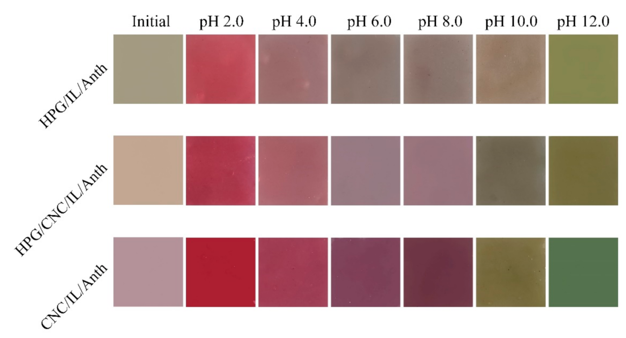 Membranes 11 00242 g003