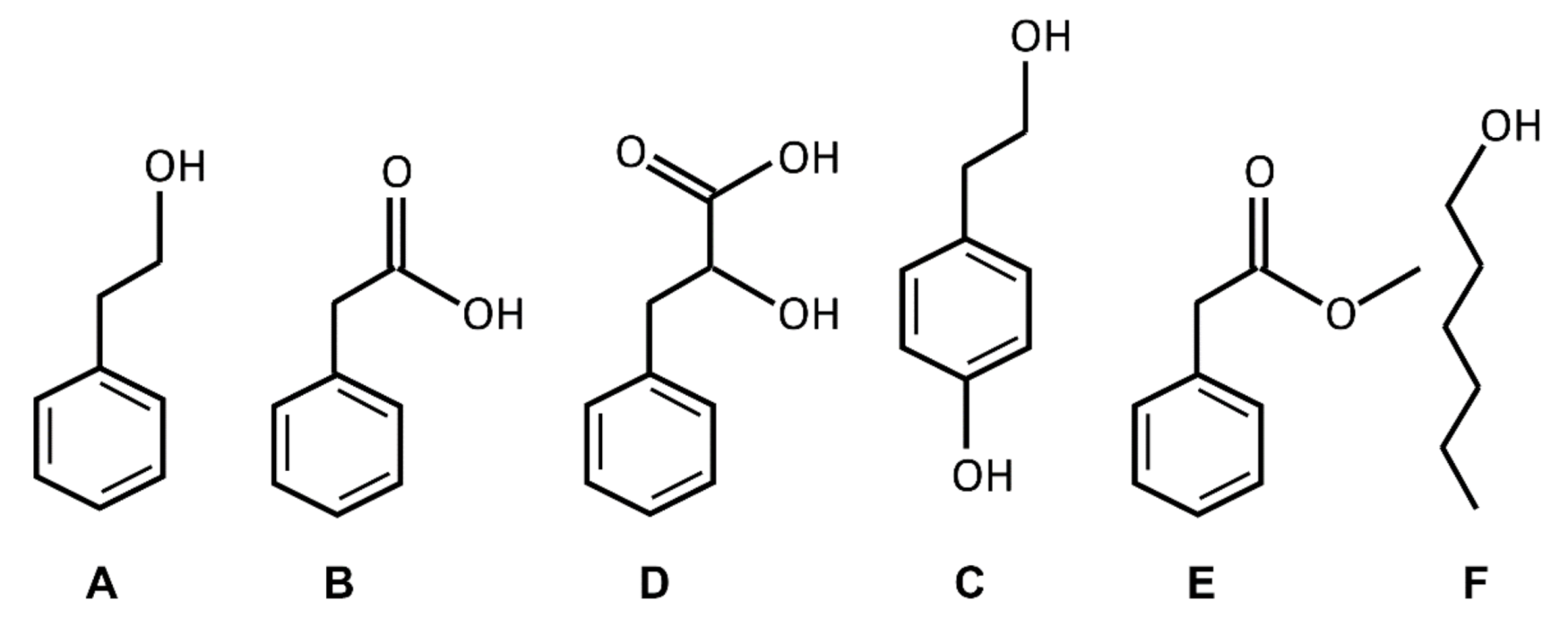 Membranes 11 00254 g001