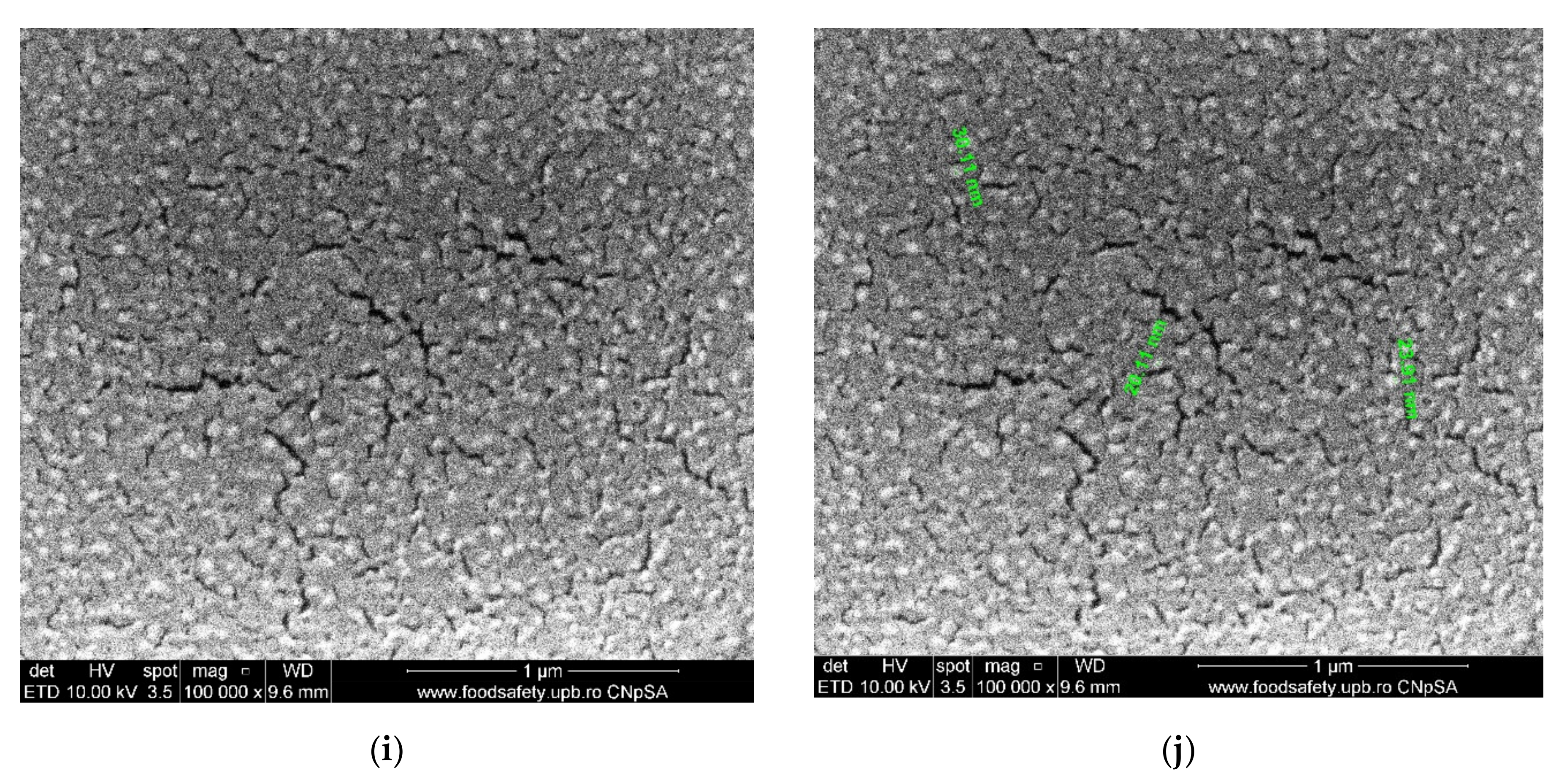 Membranes 11 00256 g006c Membranes 11 00256 g006c