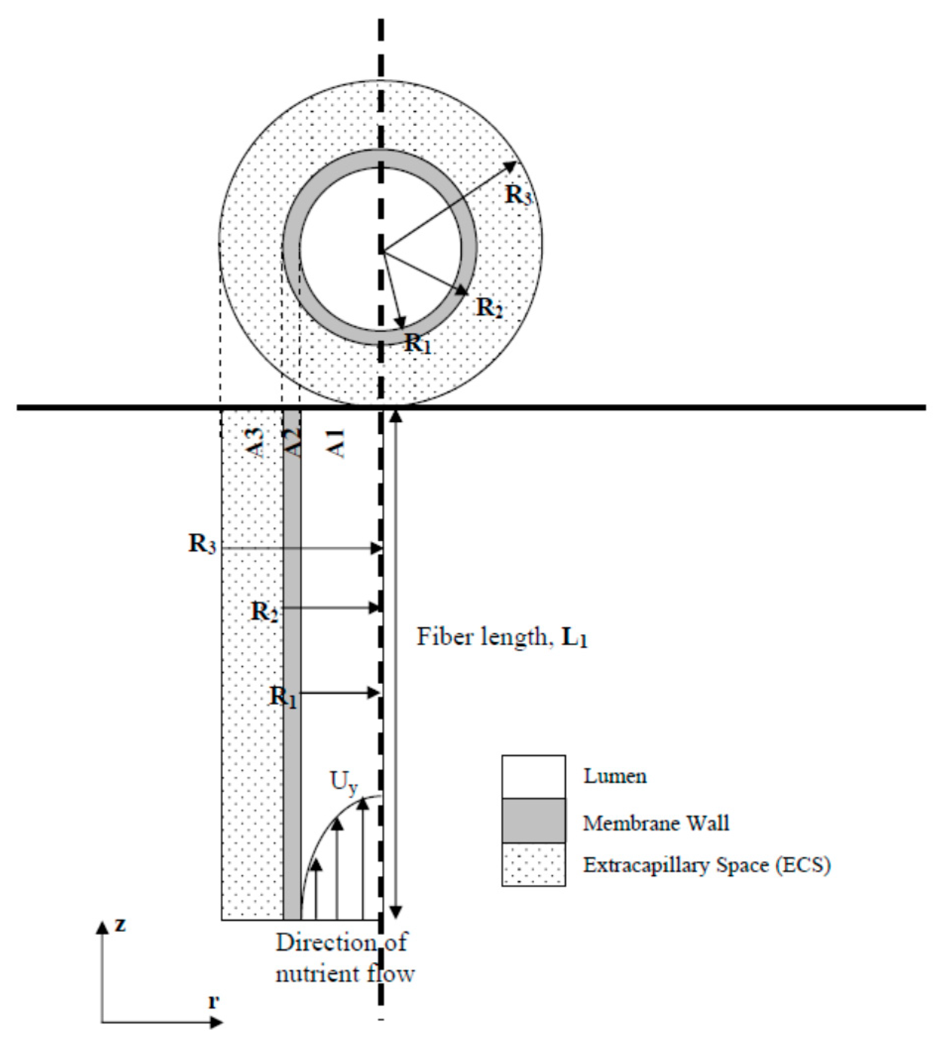 Membranes 11 00257 g001 Membranes 11 00257 g001