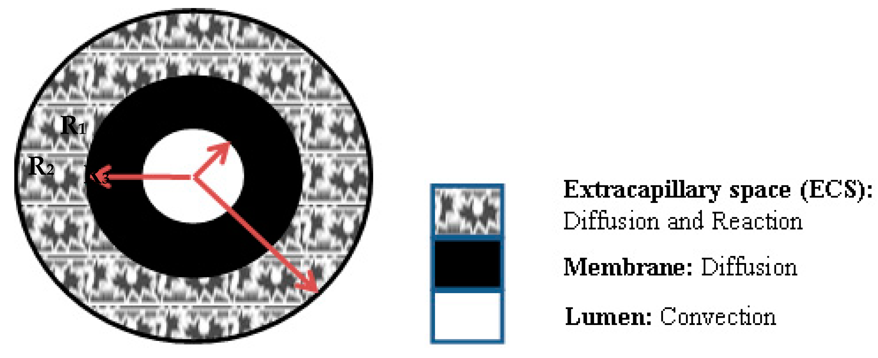 Membranes 11 00257 g003 Membranes 11 00257 g003