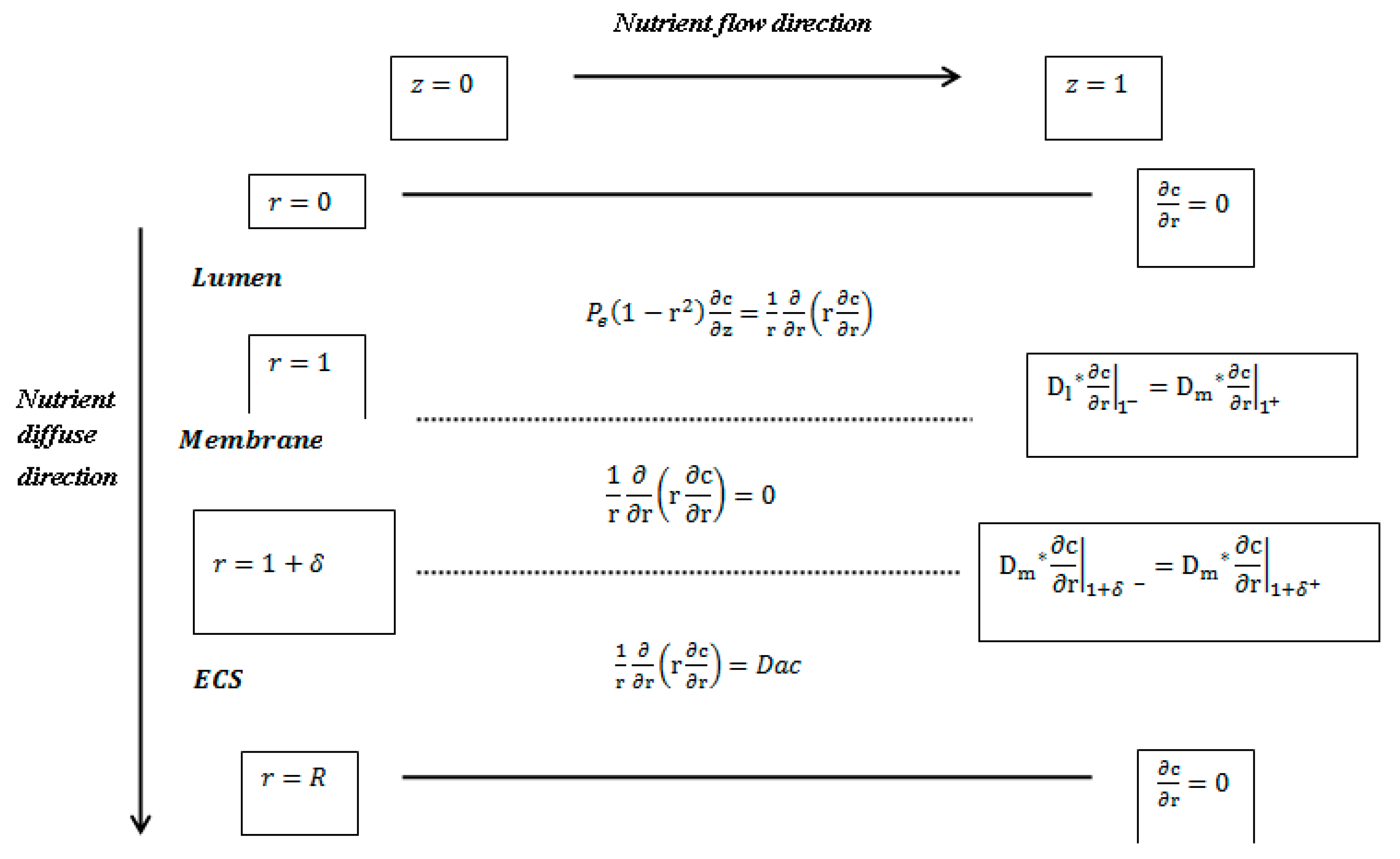 Membranes 11 00257 g004 Membranes 11 00257 g004