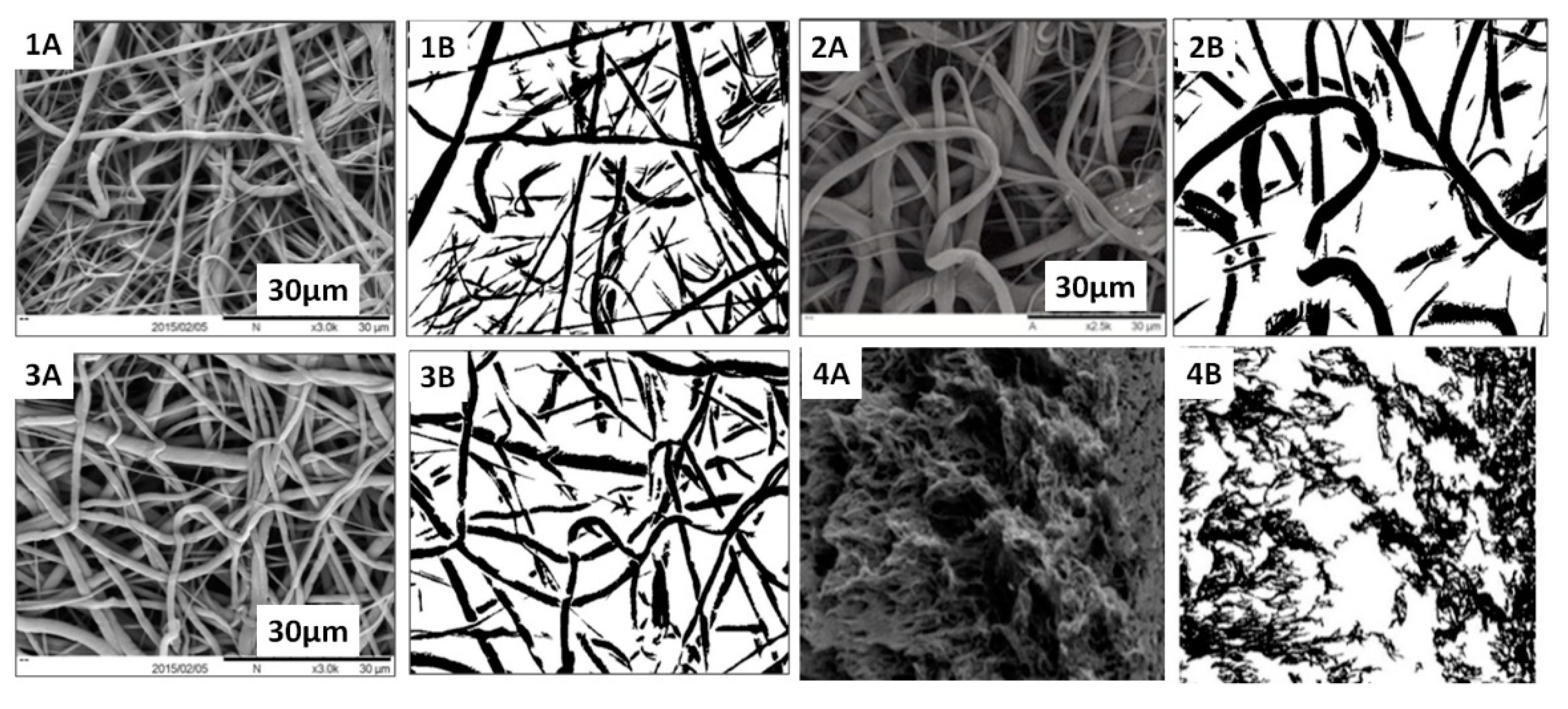 Membranes 11 00257 g008 Membranes 11 00257 g008