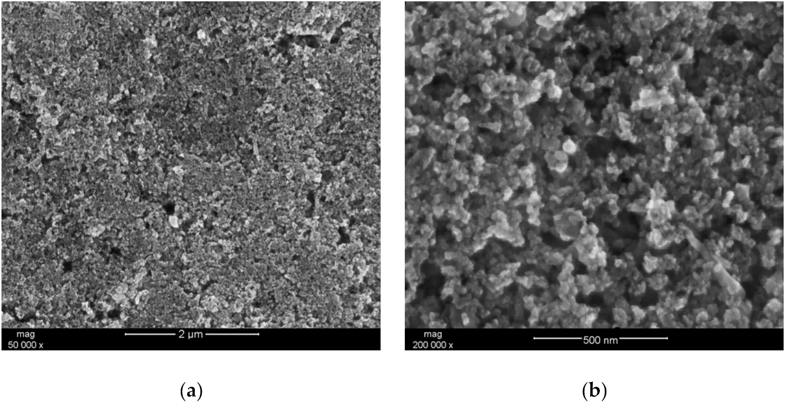 Membranes 11 00259 g001