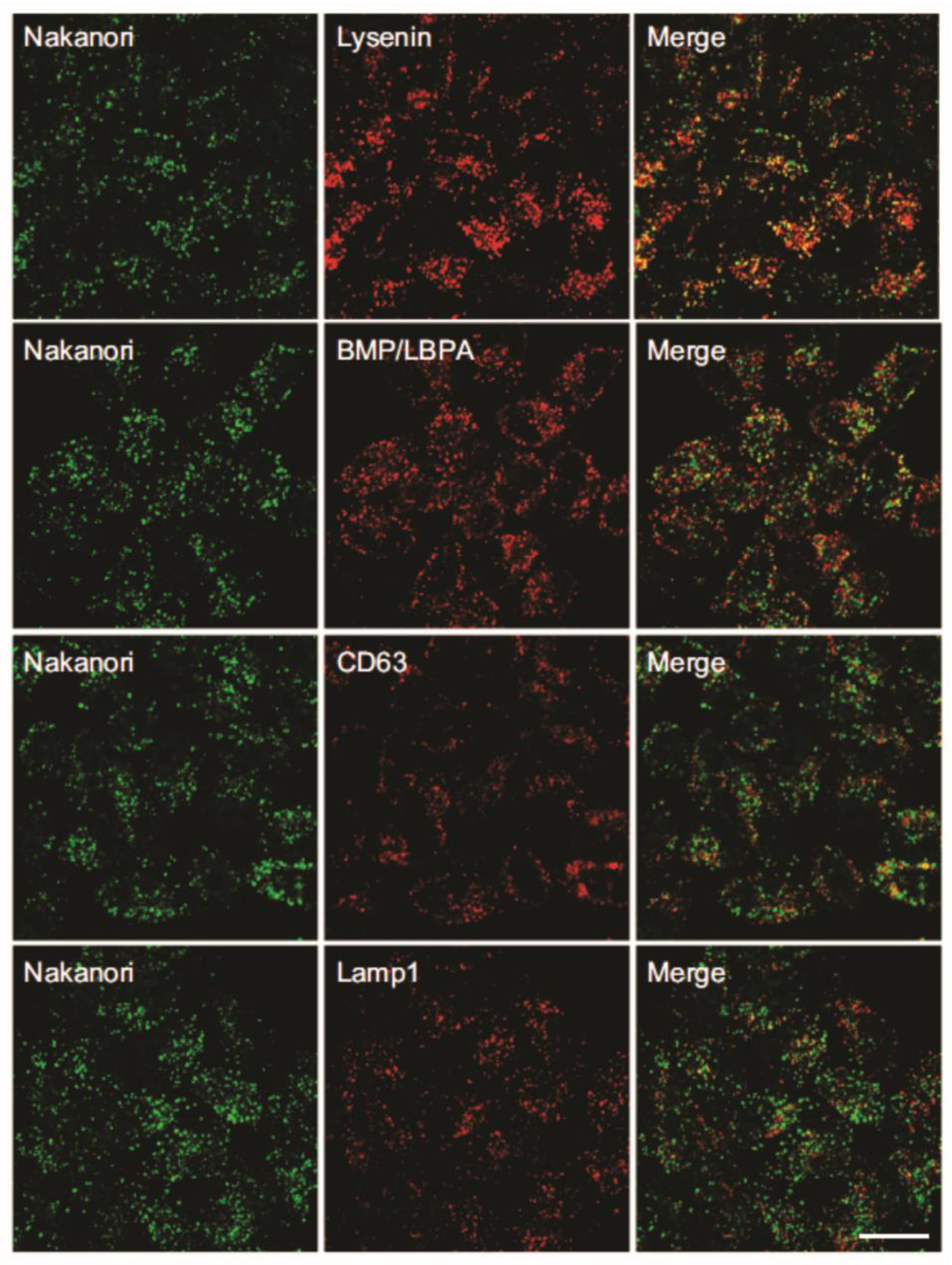 Membranes 11 00264 g004