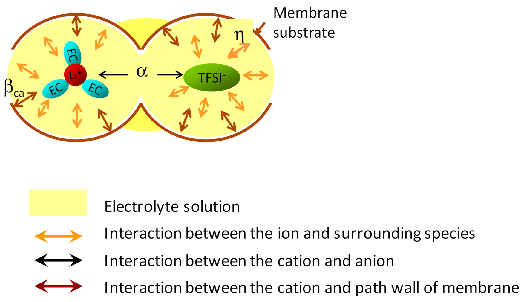 Membranes 11 00277 g002 Membranes 11 00277 g002