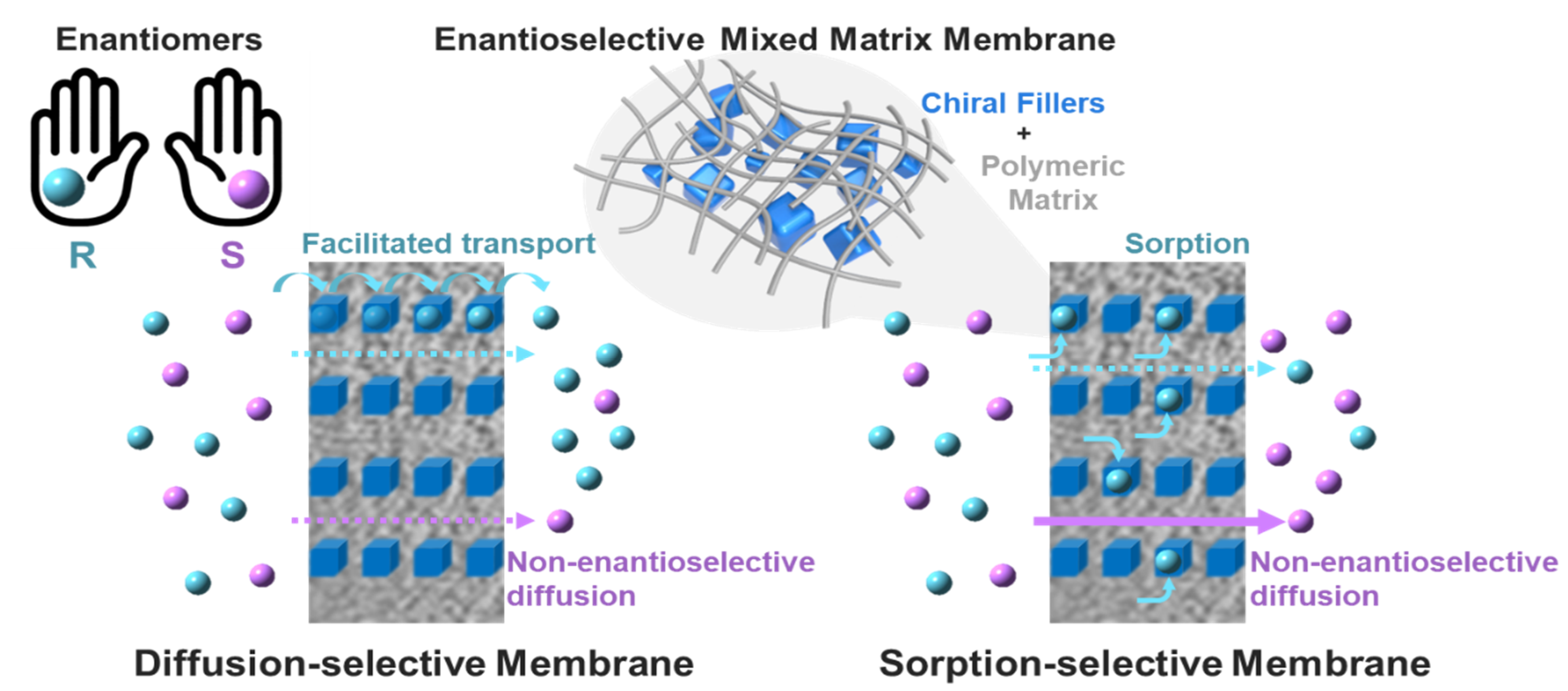 Membranes 11 00279 g001 Membranes 11 00279 g001