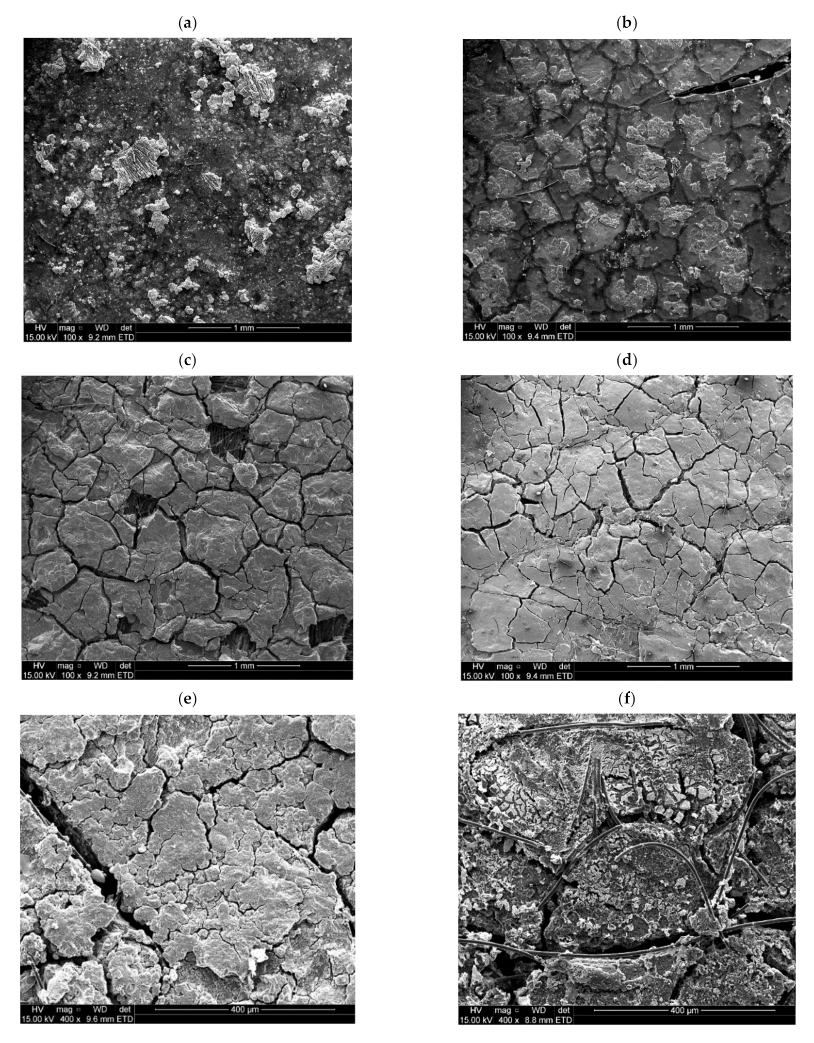Membranes 11 00282 g017 Membranes 11 00282 g017