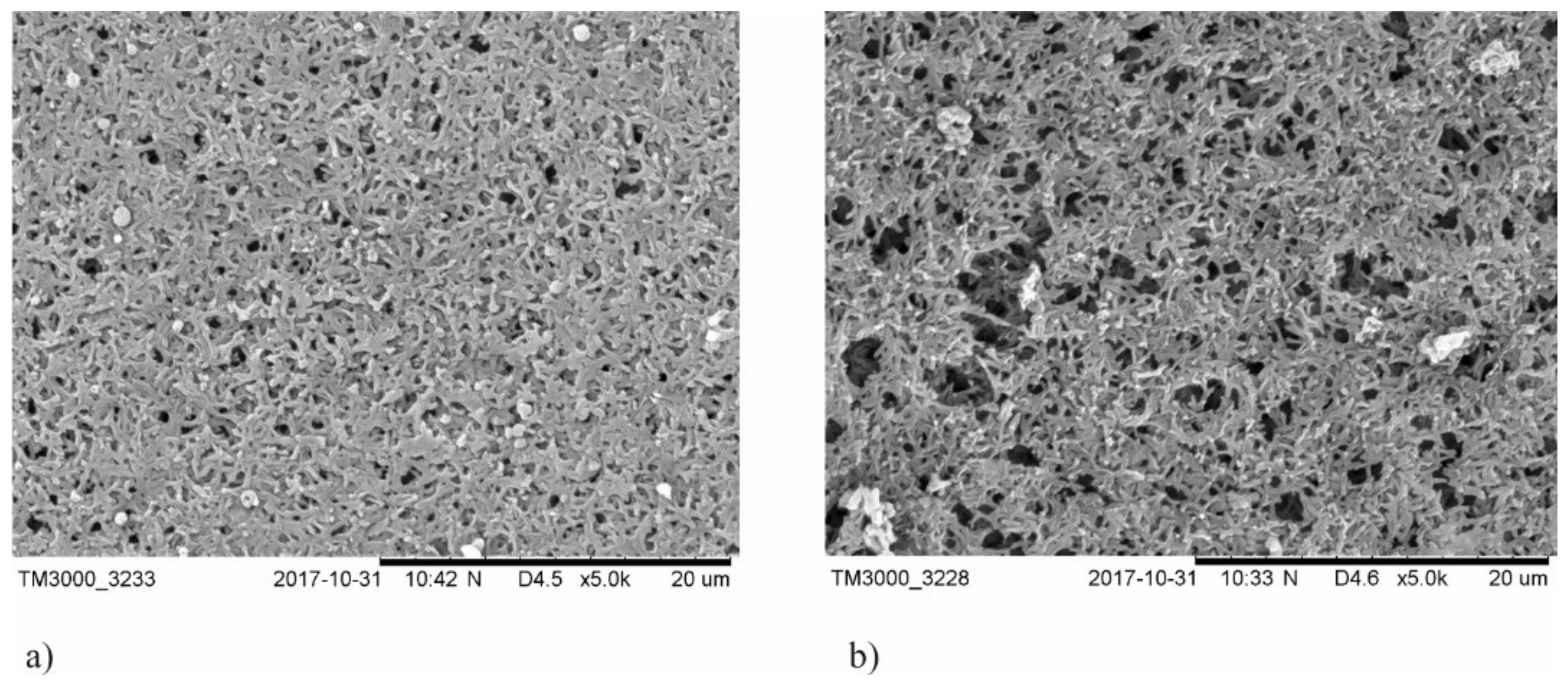 Membranes 11 00290 g002