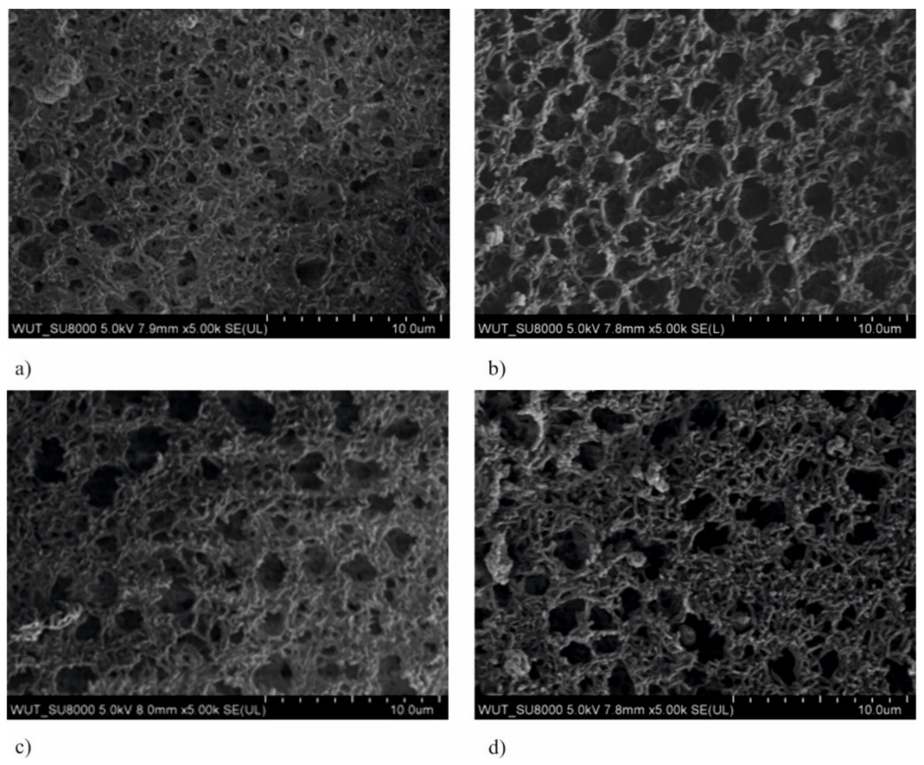Membranes 11 00290 g003