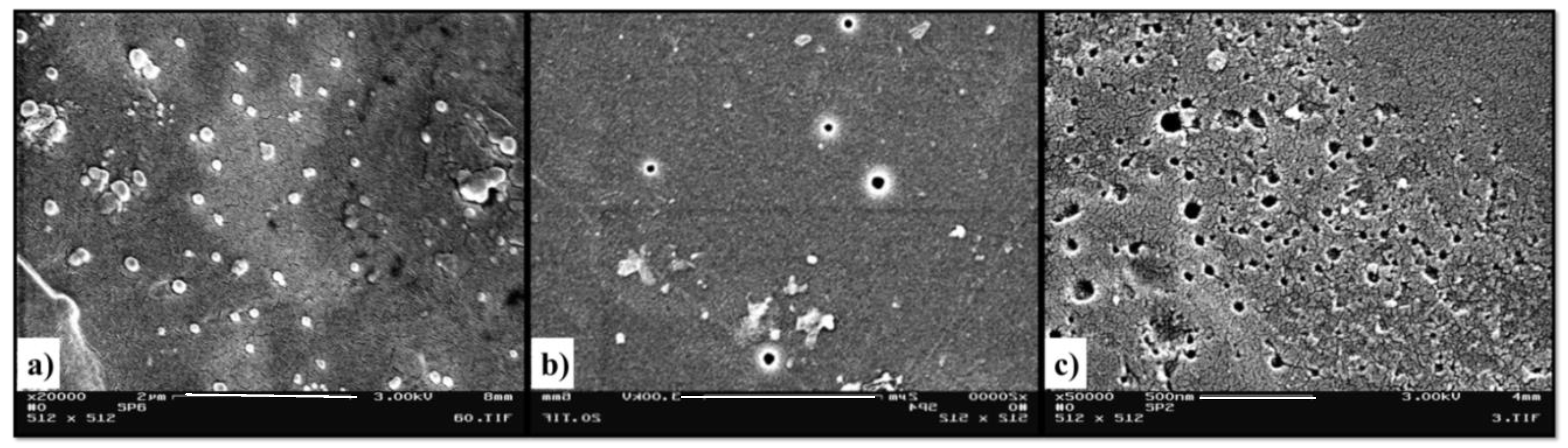 Membranes 11 00292 g002