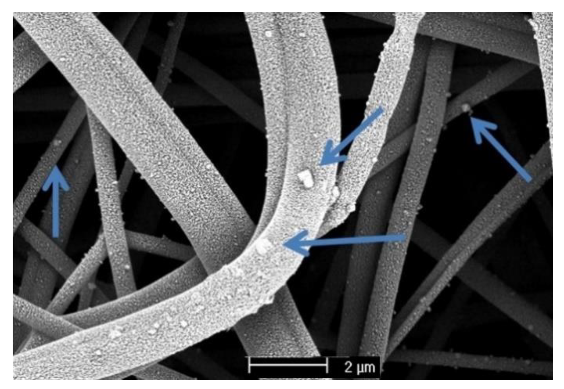 Membranes 11 00293 g005