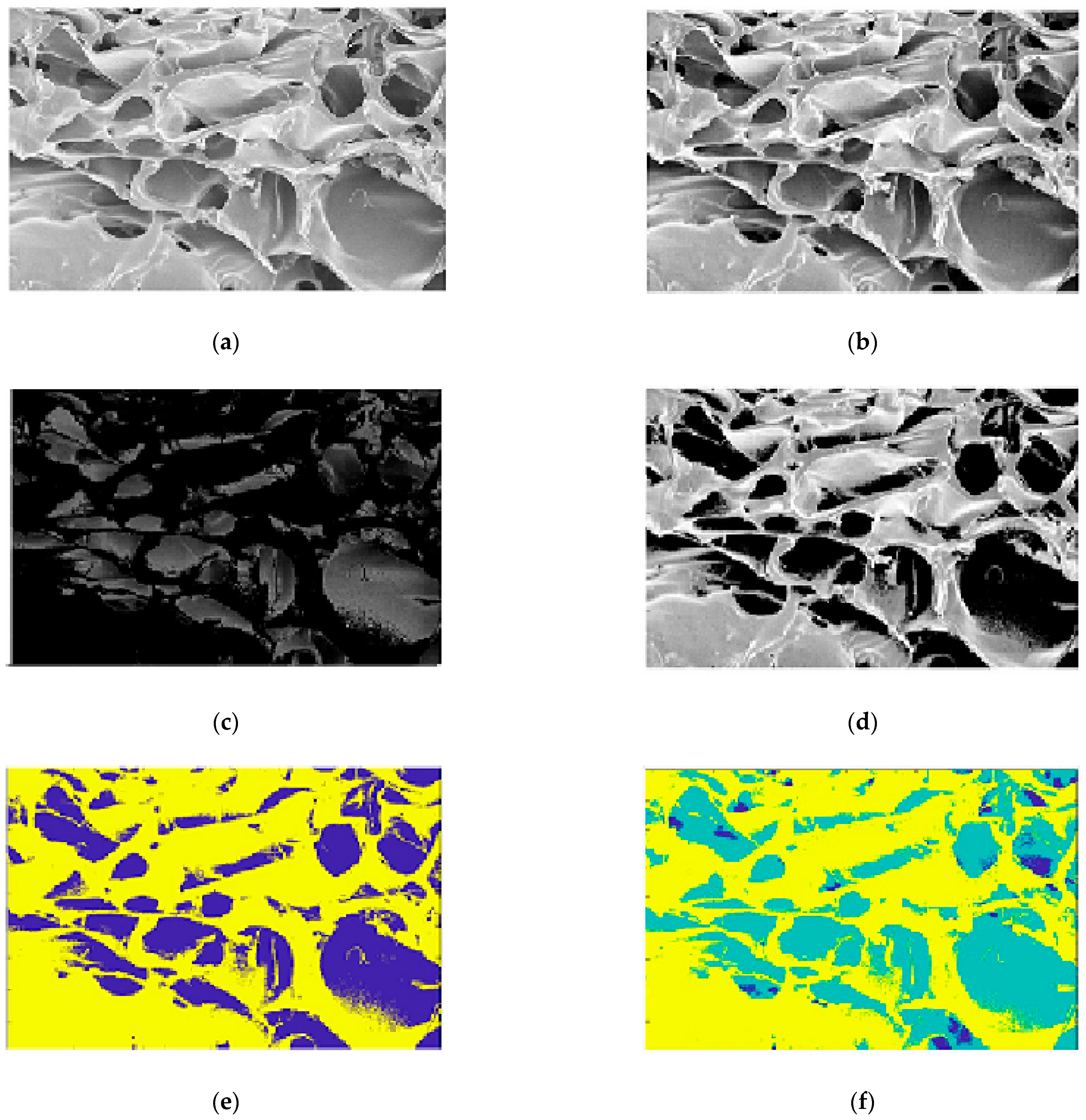 Membranes 11 00303 g008 Membranes 11 00303 g008