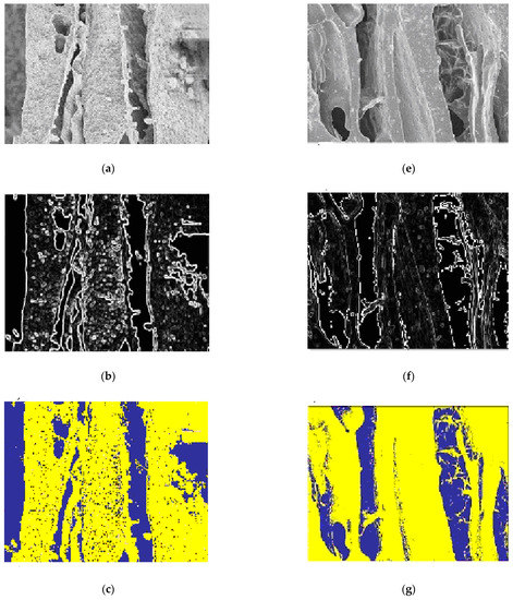 Membranes 11 00303 g011a Membranes 11 00303 g011a