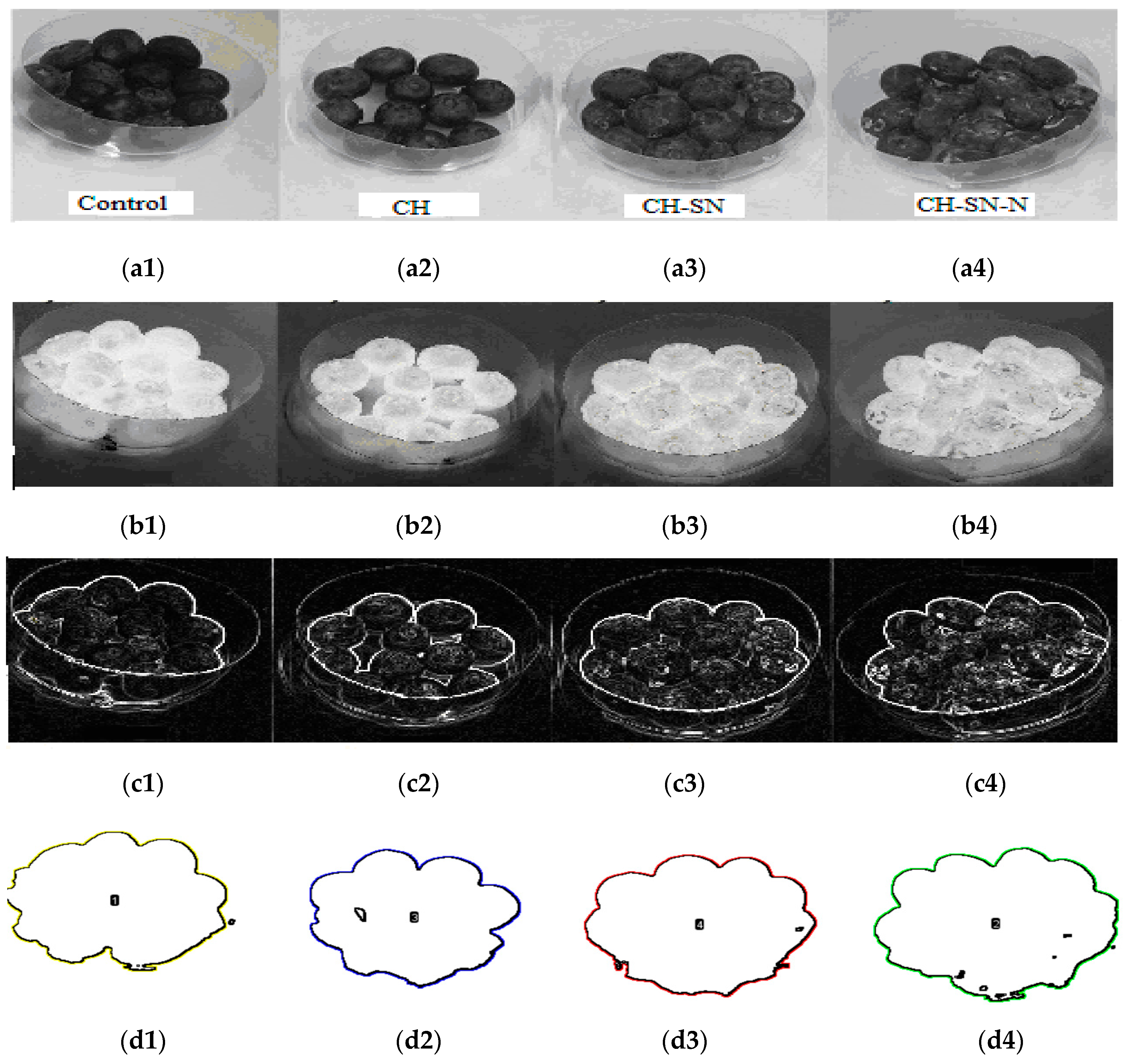 Membranes 11 00303 g012 Membranes 11 00303 g012