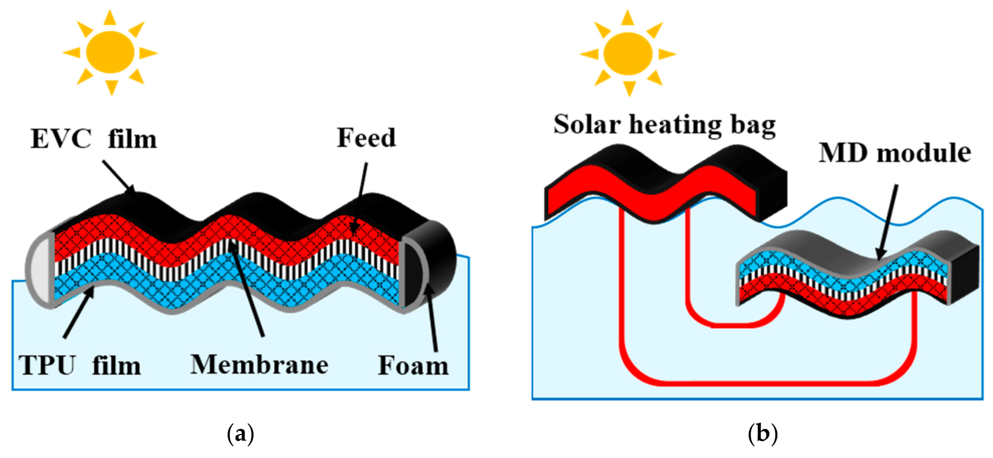 Membranes 11 00304 g001