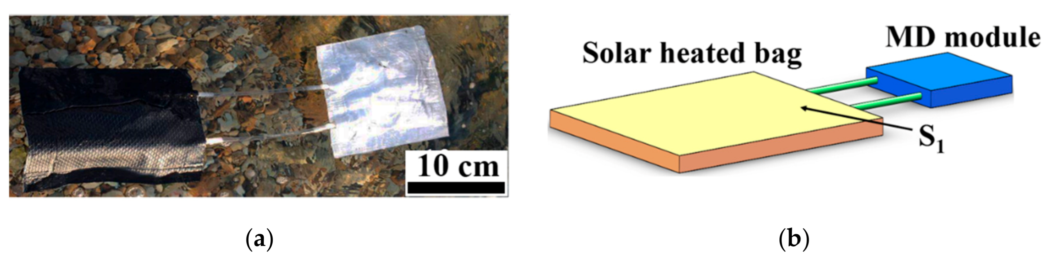 Membranes 11 00304 g002