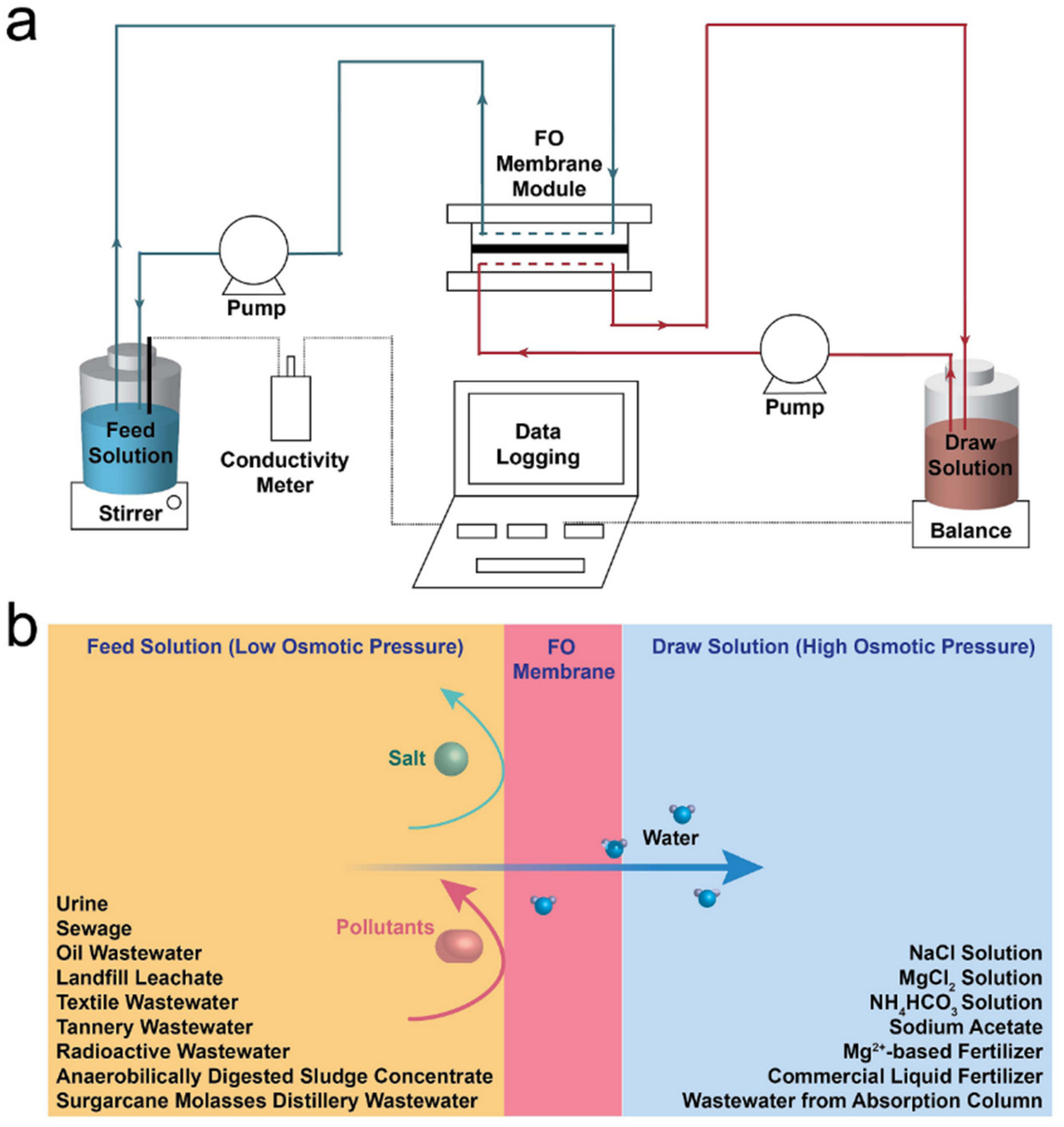 Membranes 11 00305 g001