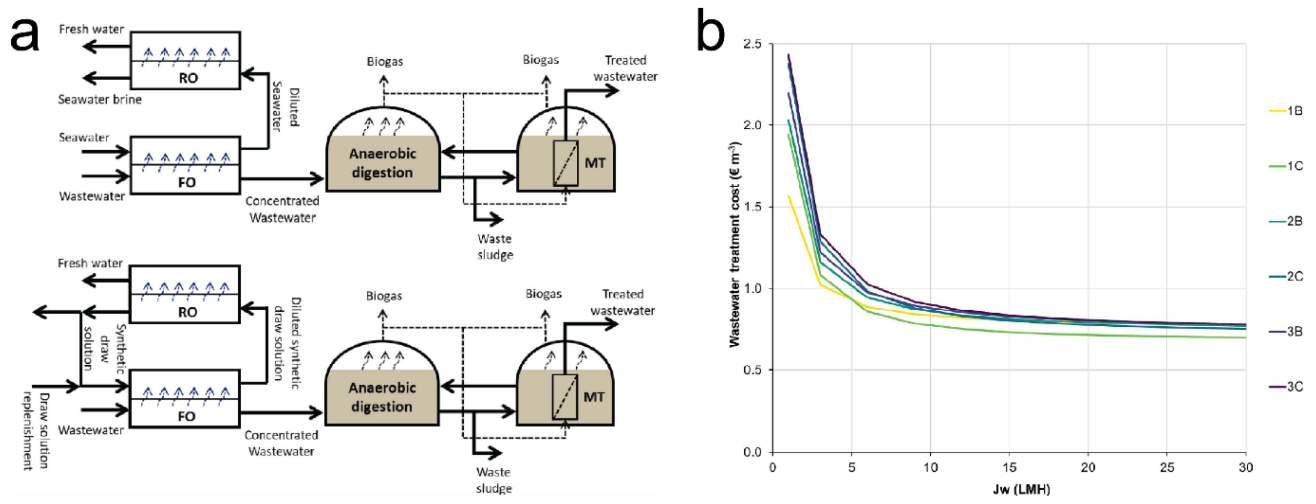 Membranes 11 00305 g005
