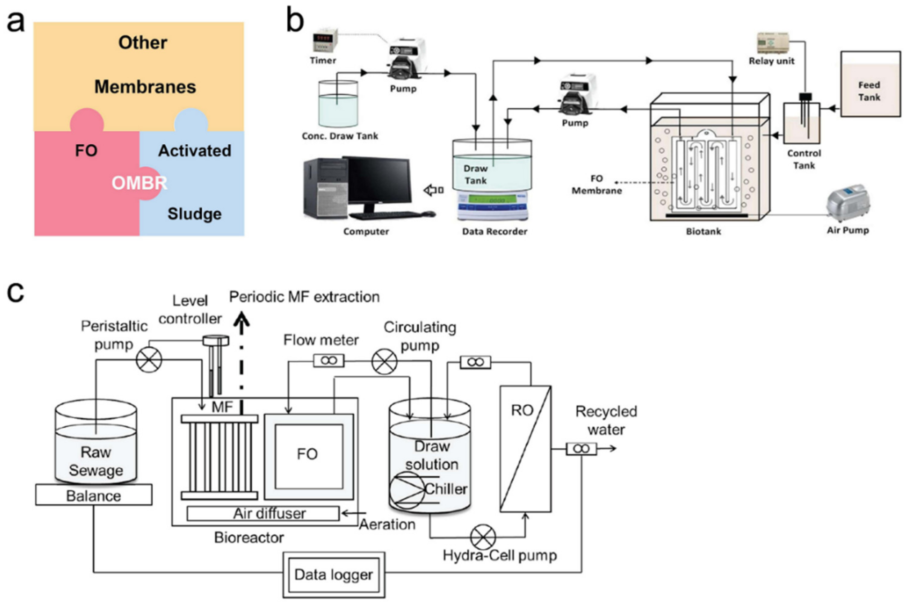 Membranes 11 00305 g006