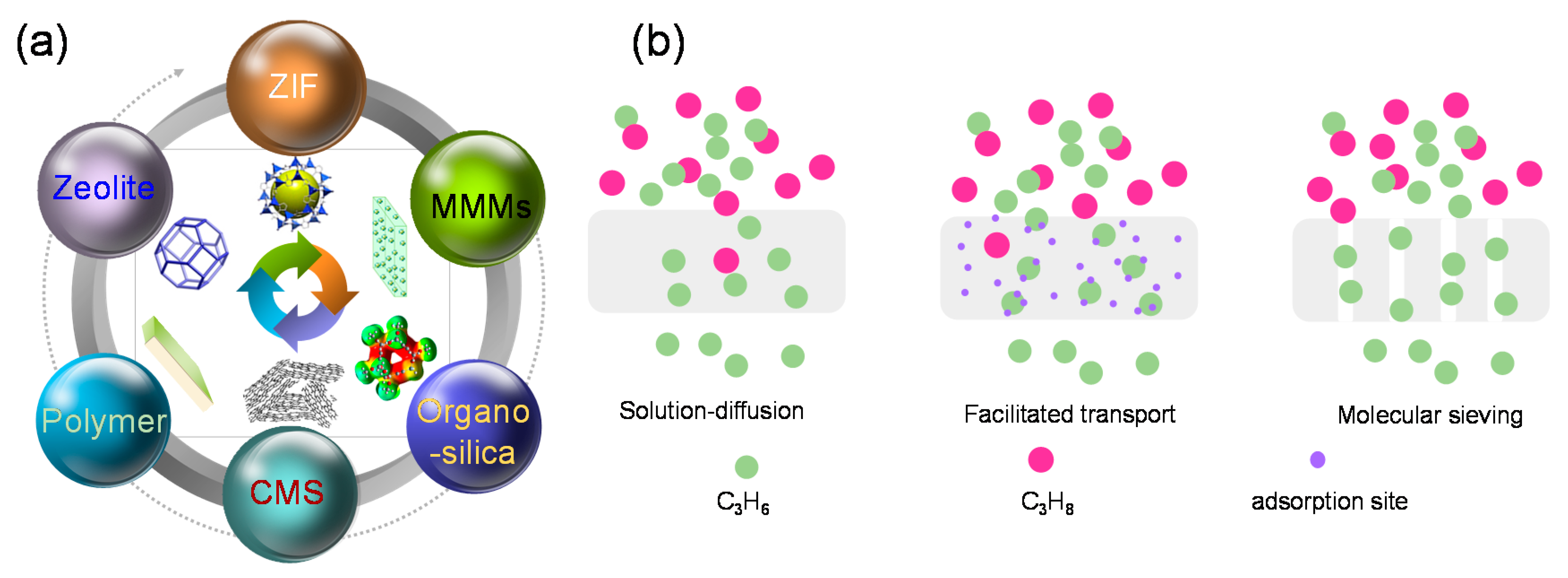Membranes 11 00310 g001