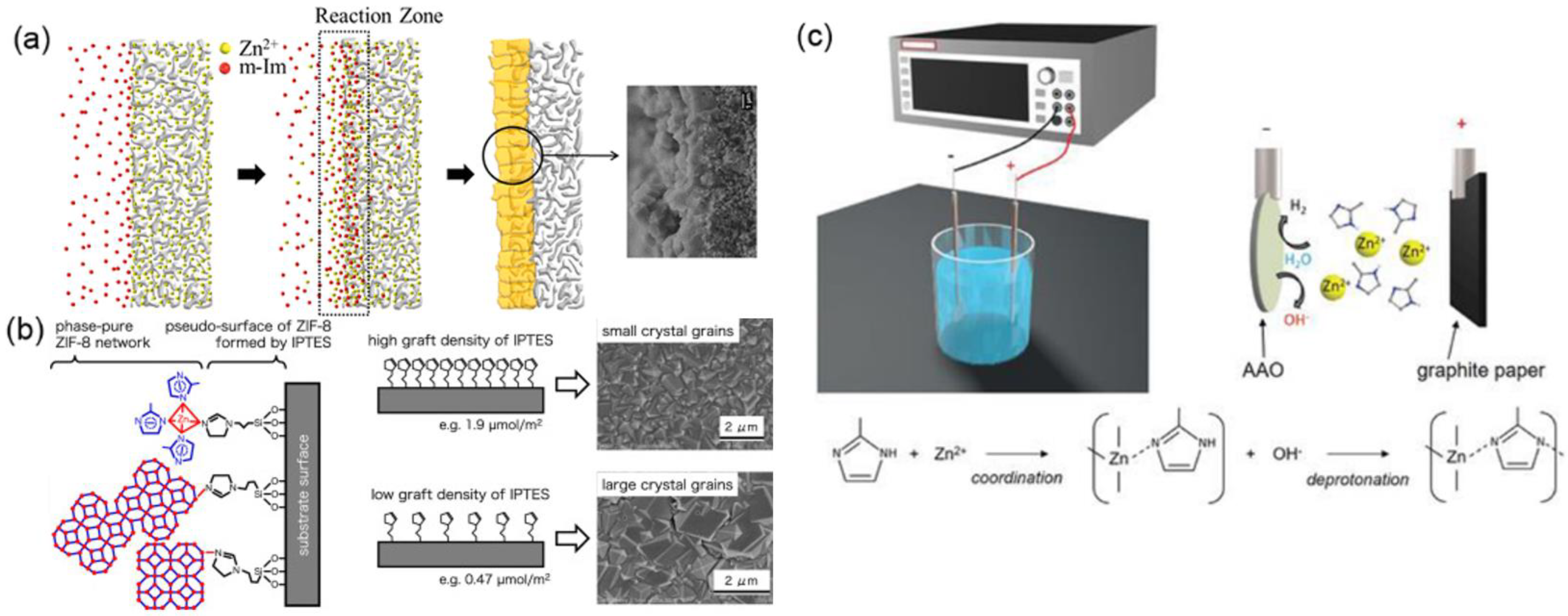 Membranes 11 00310 g006