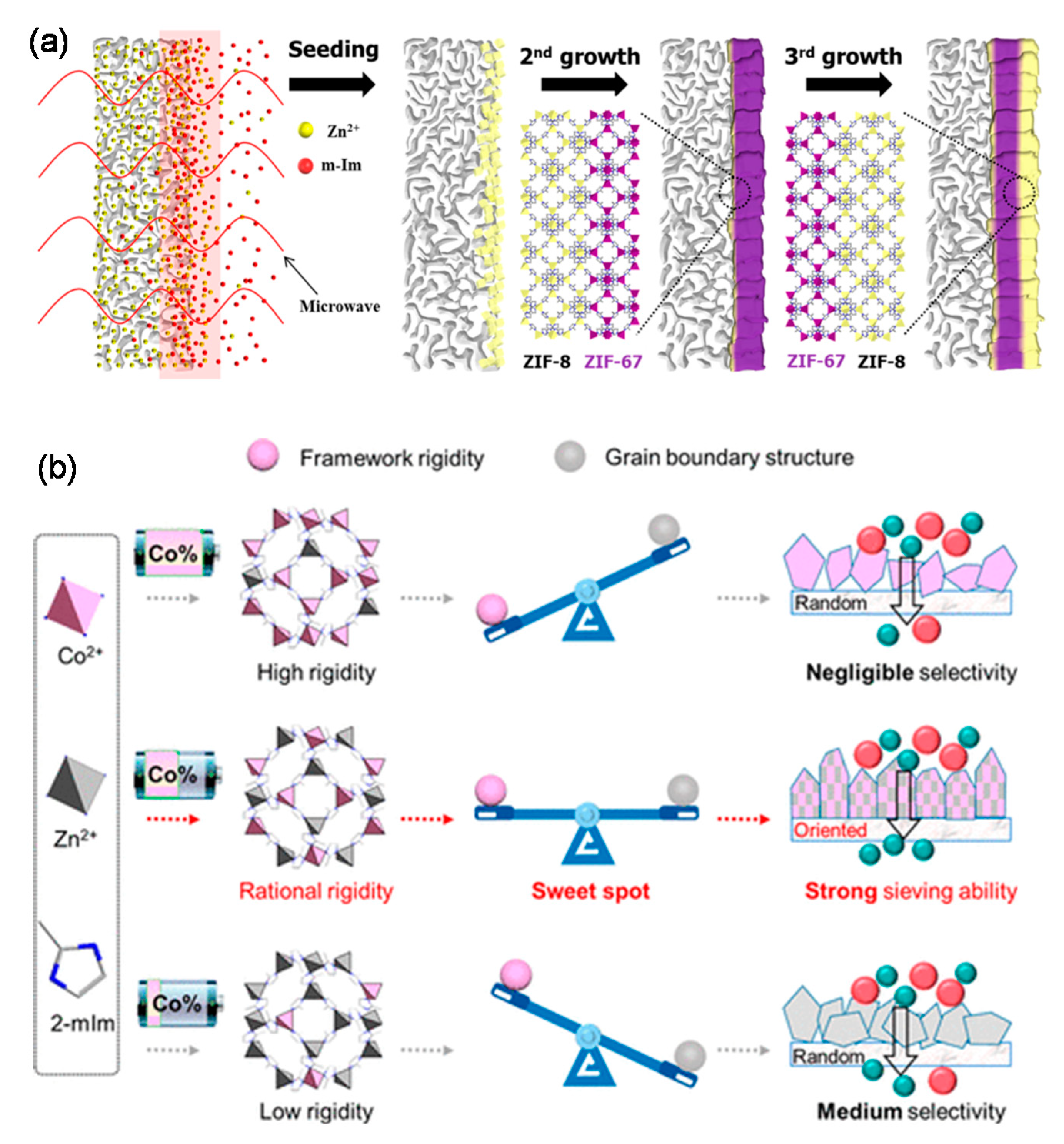 Membranes 11 00310 g008