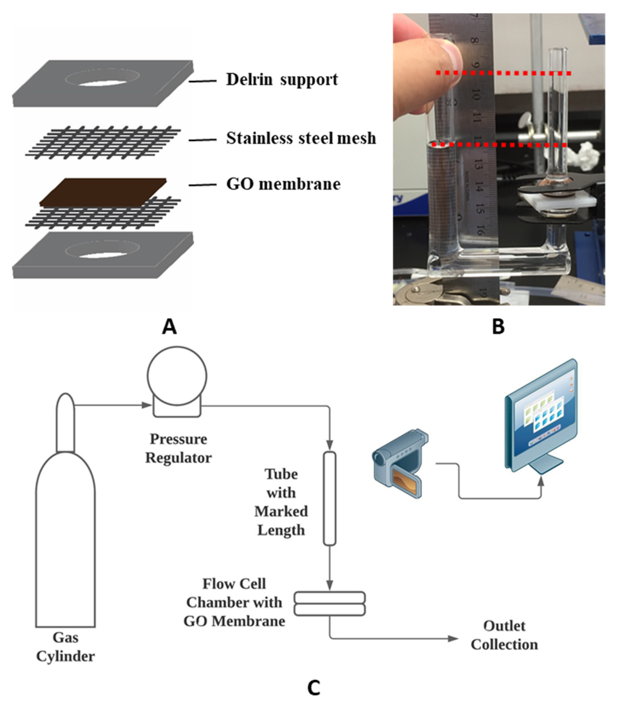 Membranes 11 00317 g001