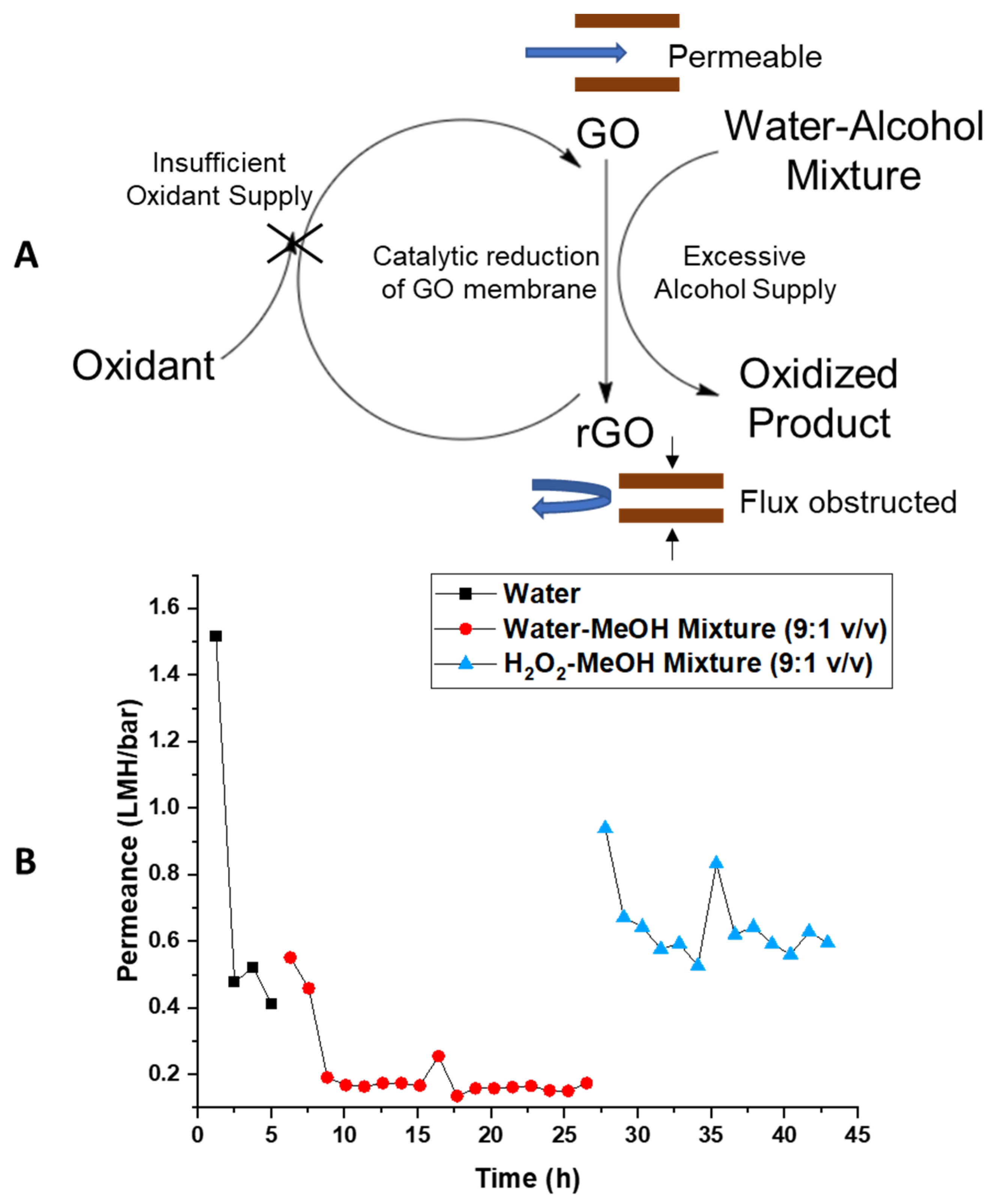 Membranes 11 00317 g007