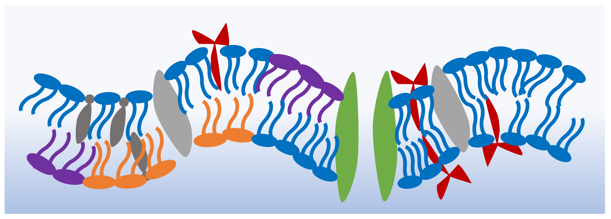 Membranes 11 00319 g001