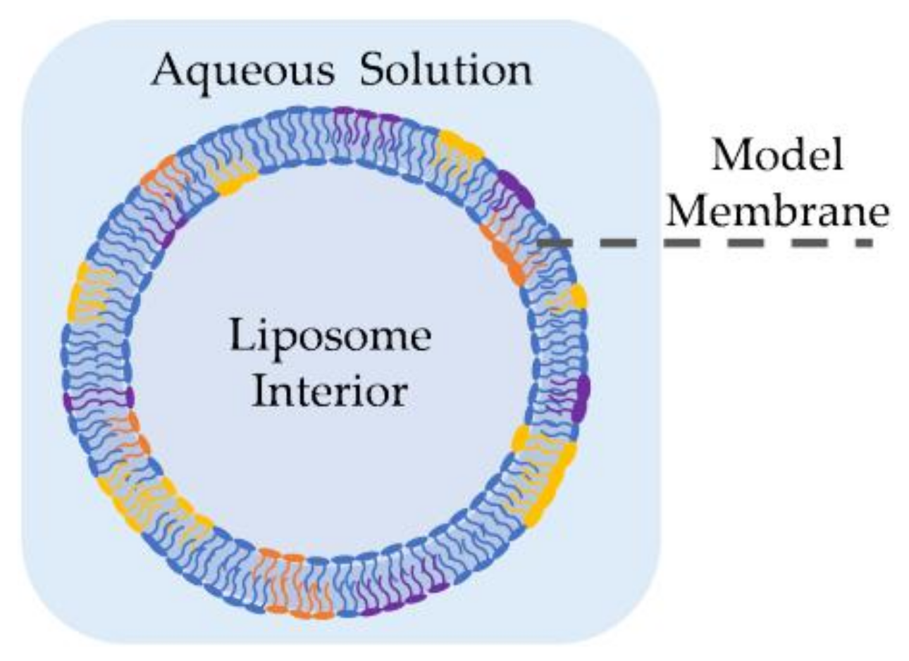 Membranes 11 00319 g002