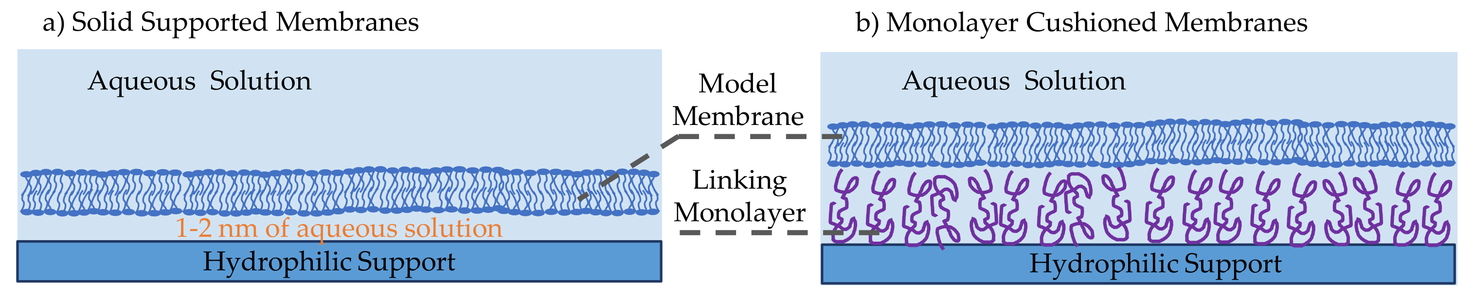 Membranes 11 00319 g004
