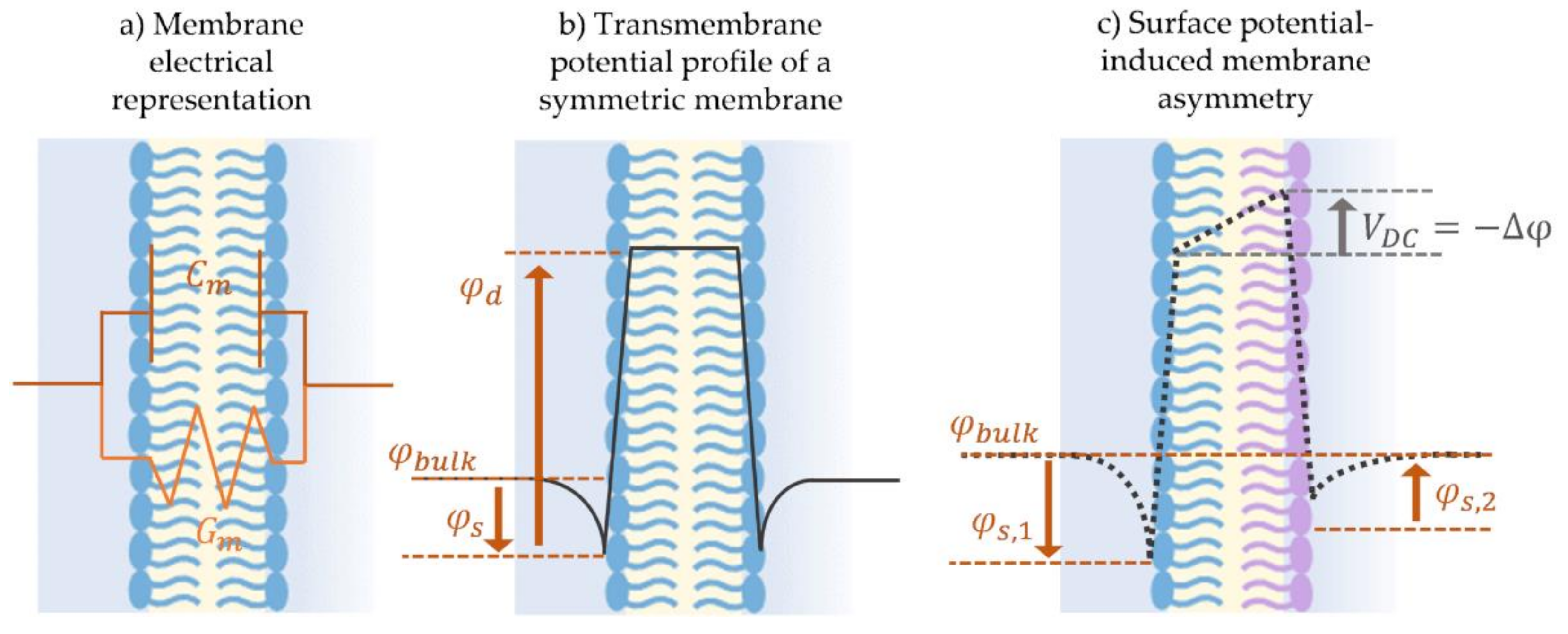 Membranes 11 00319 g007