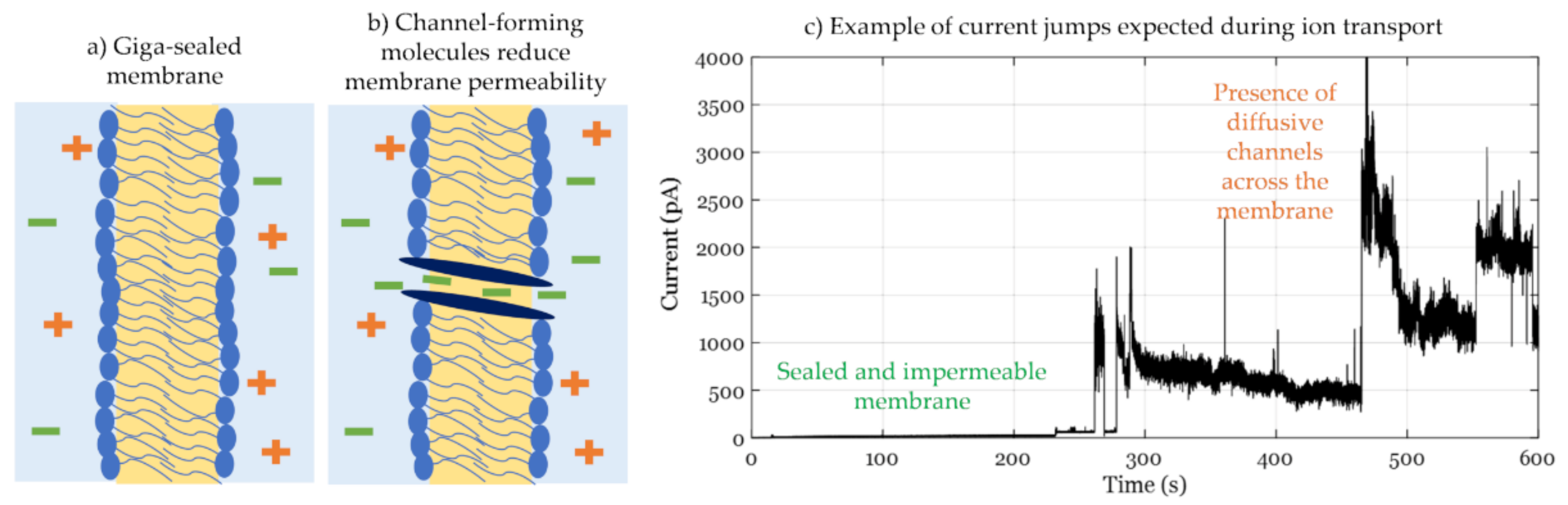 Membranes 11 00319 g008