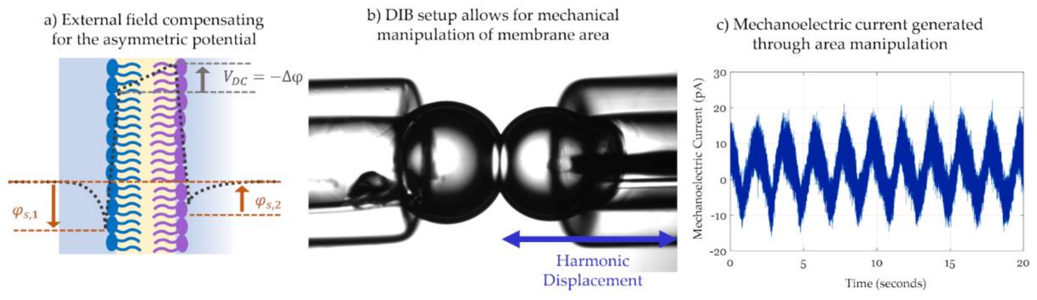 Membranes 11 00319 g010
