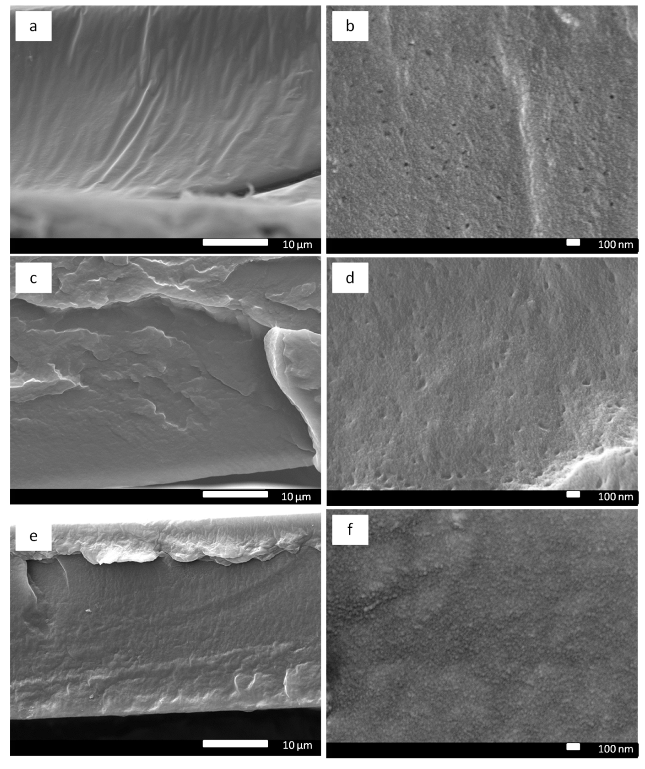 Membranes 11 00328 g004