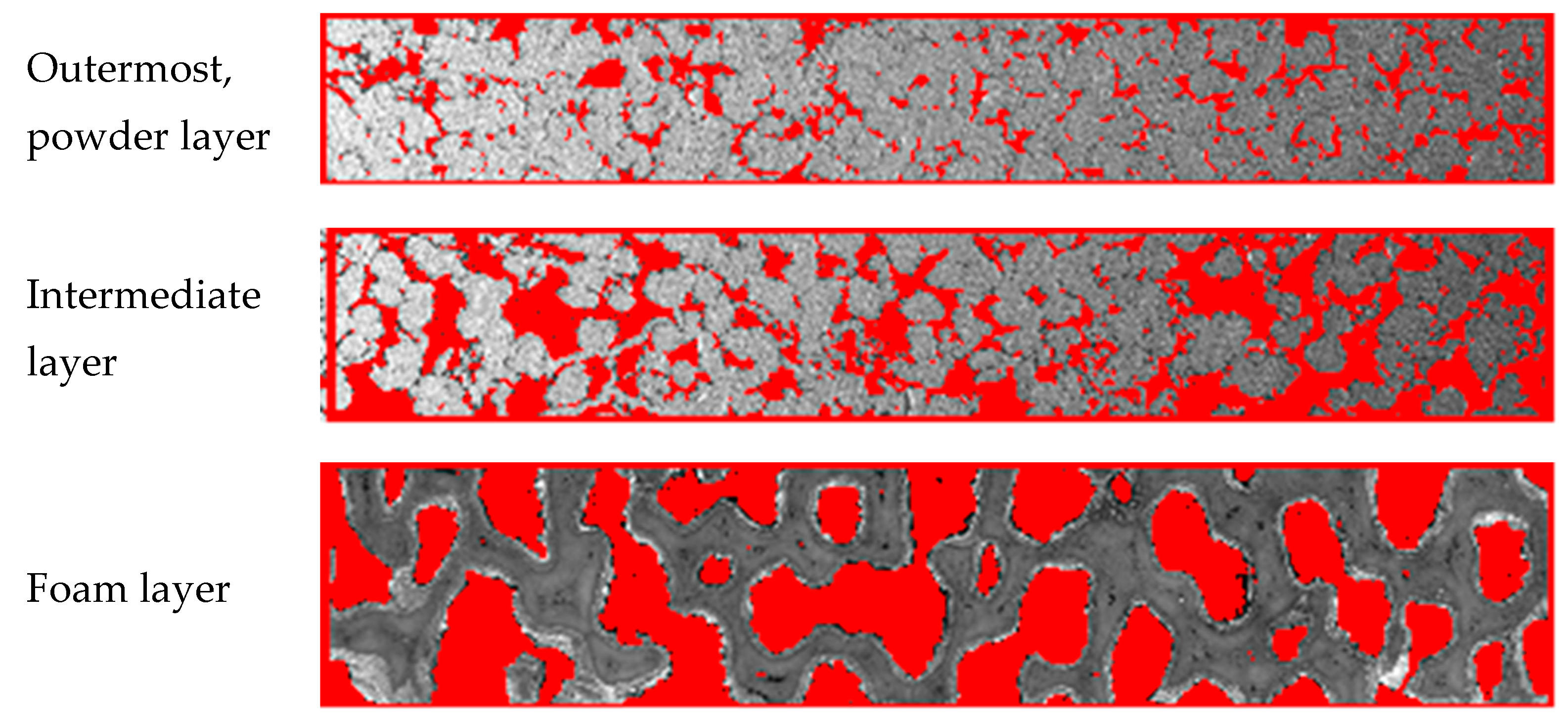 Membranes 11 00332 g001